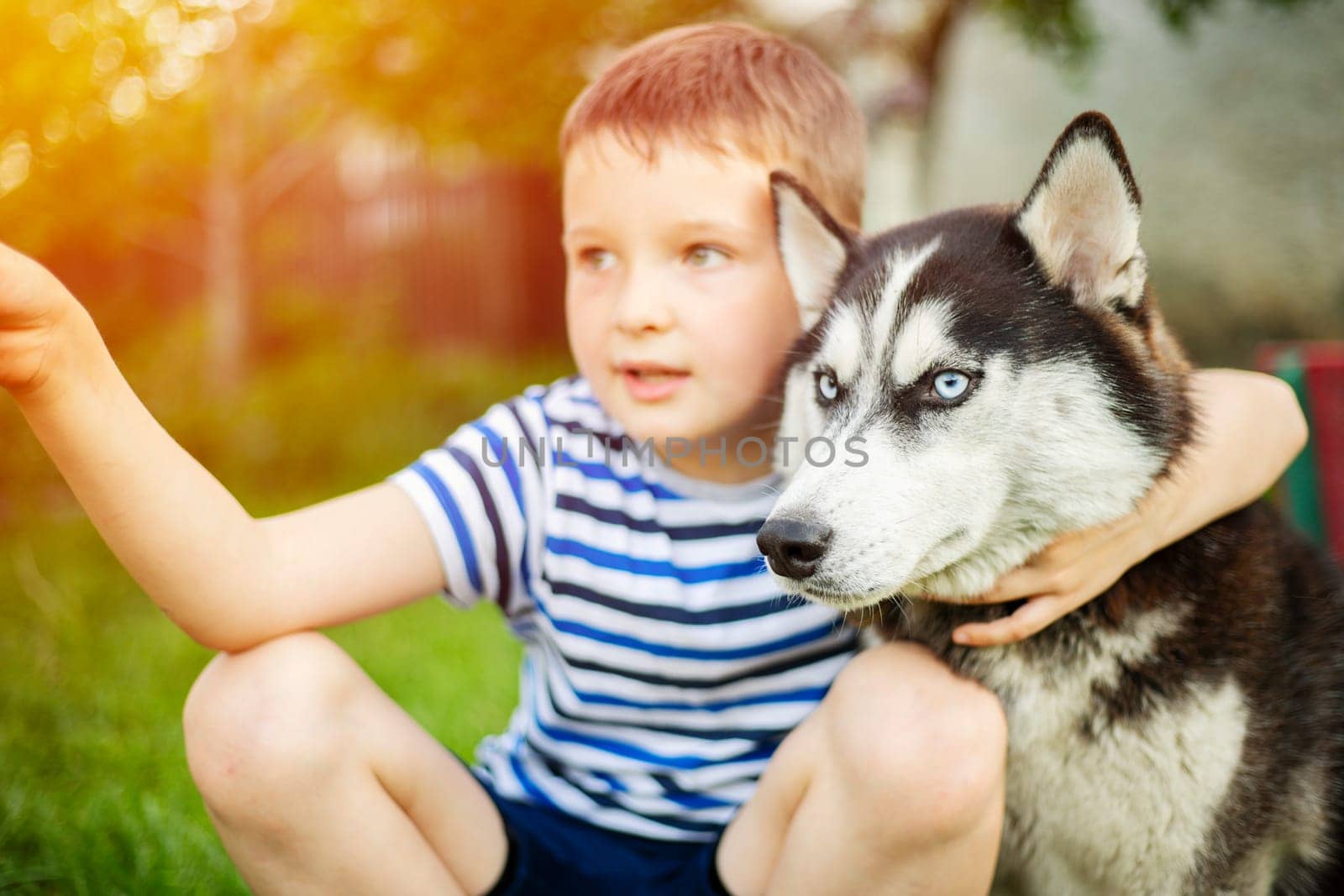Young boy in stripes hugging Siberian Husky outdoors with golden sunlight. Friendship and pet companionship theme with natural background.