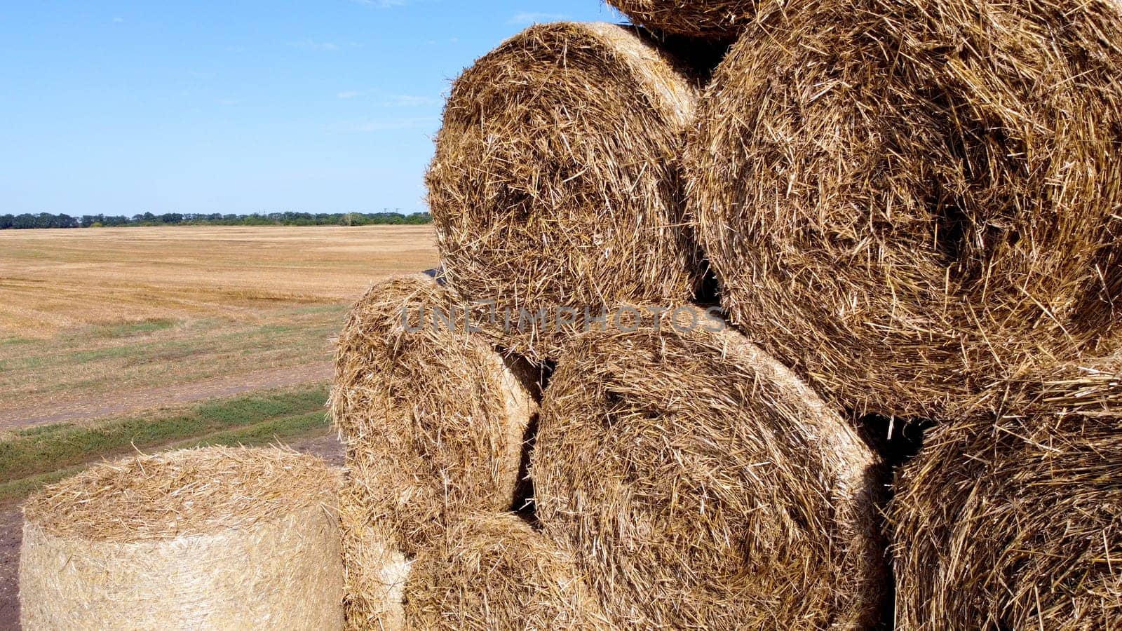 Many bales of straw in the field. Many bales rolls of wheat straw stacked together in field after harvest on summer day. Agricultural agro-industrial agrarian field. agribusiness. Aerial drone view.