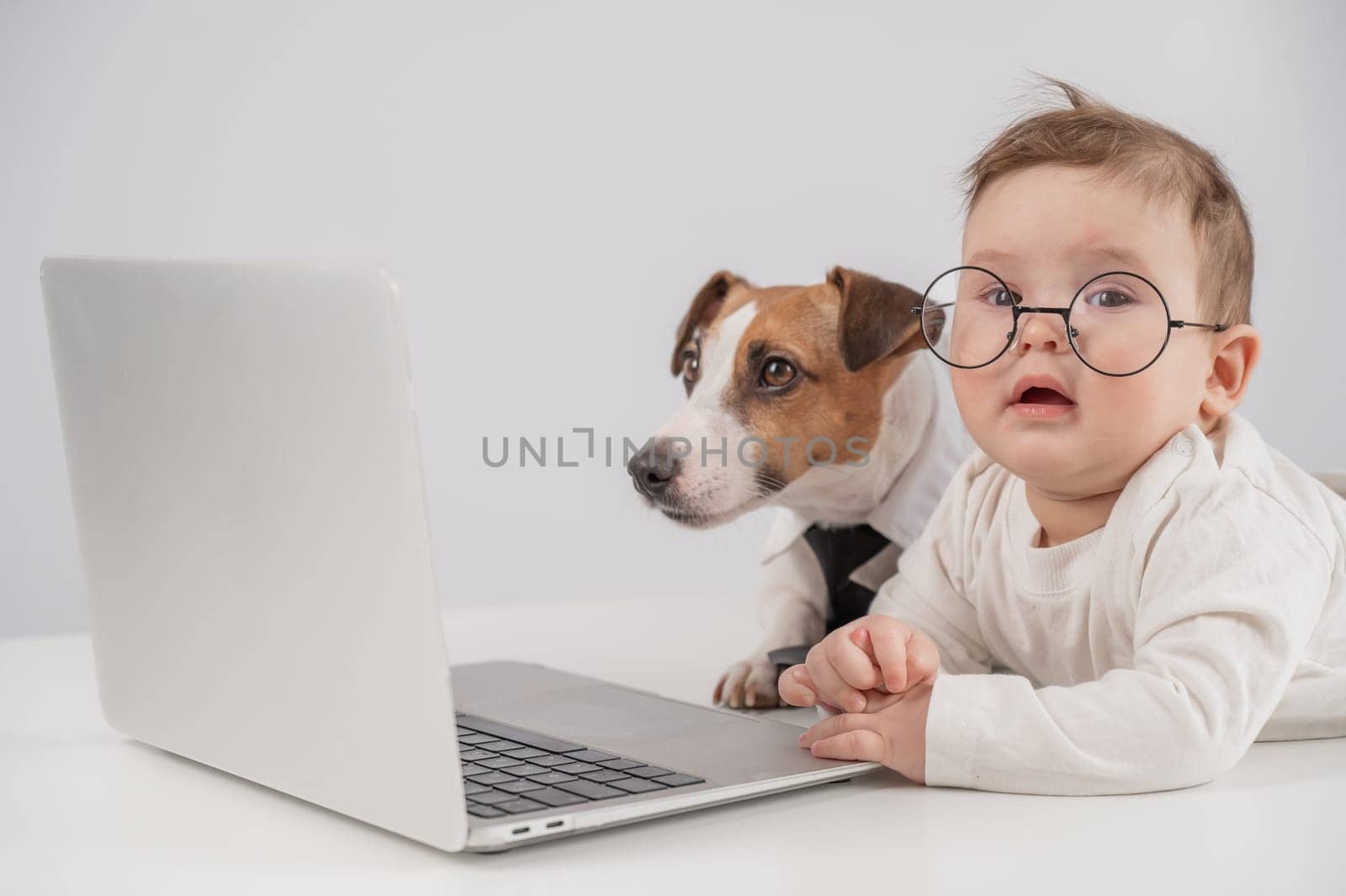 Cute baby boy and Jack Russell terrier dog working on a laptop. by mrwed54