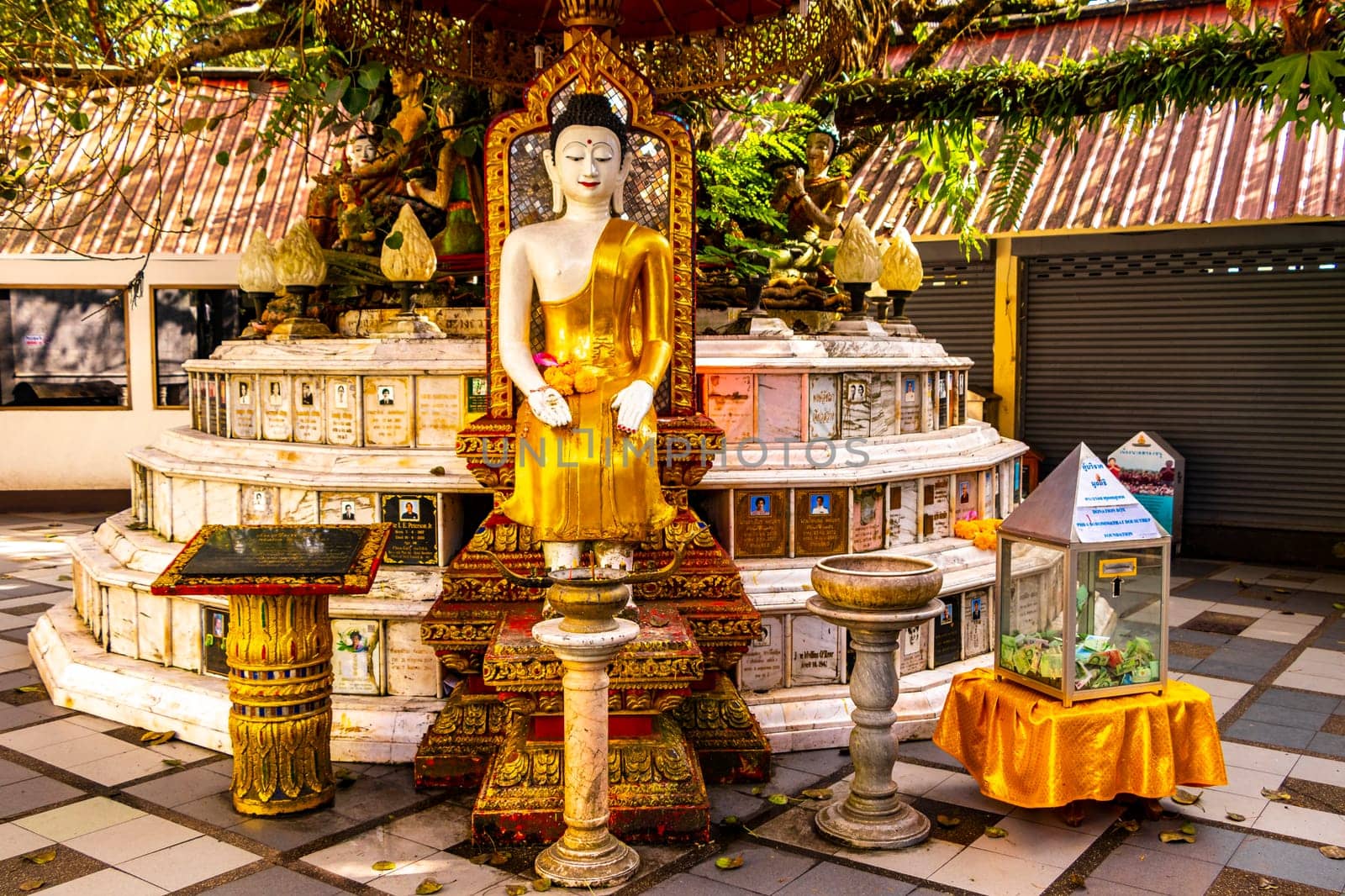 Buddha sculture figure statue at golden gold Wat Phra That Doi Suthep temple temples building in Chiang Mai Amphoe Mueang Chiang Mai Thailand in Southeastasia Asia.