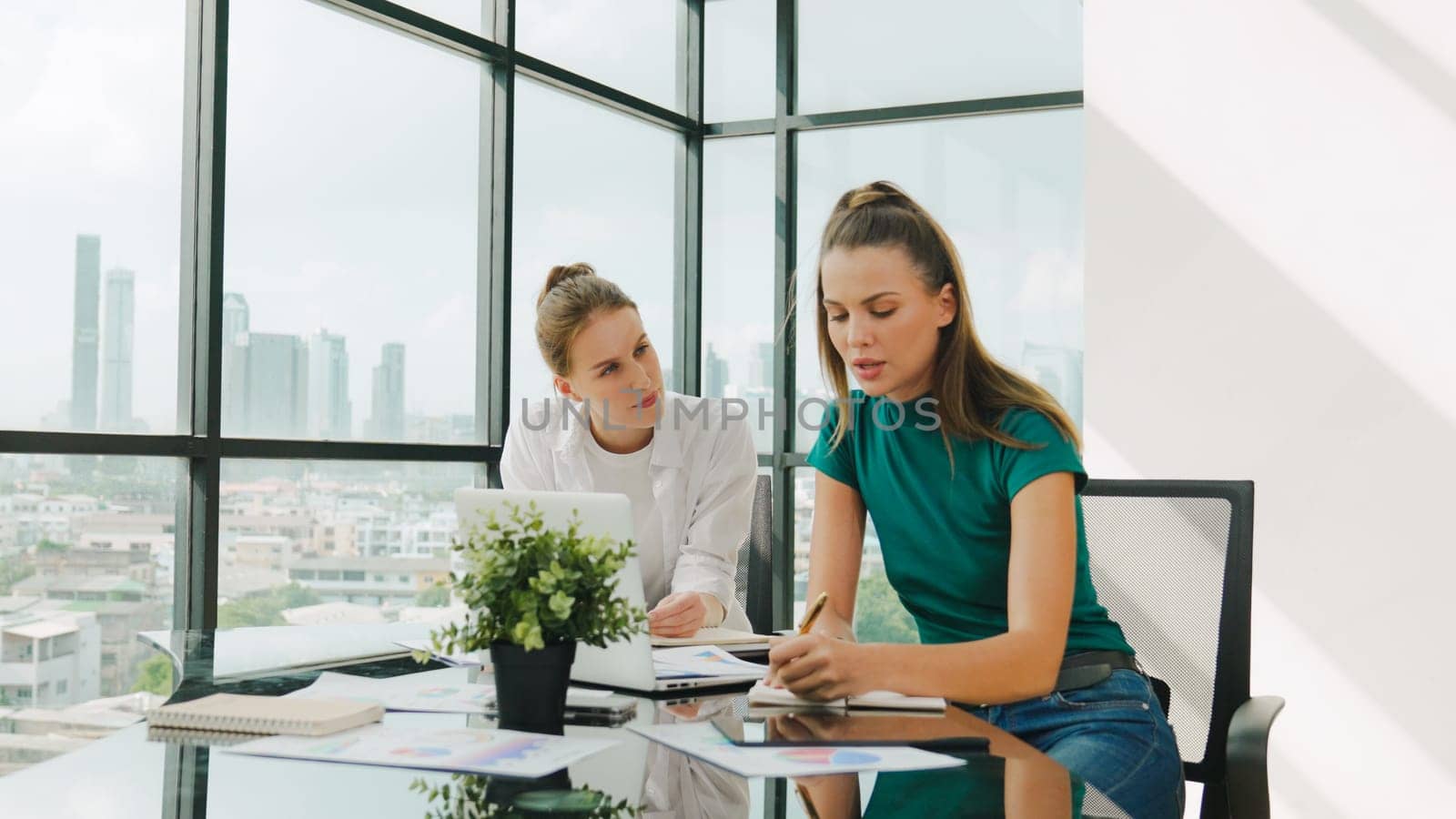 Skilled businesswoman look stress while discuss about financial strategy. Smart business team brainstorming, talking consulting sales plan, idea by using statistic document with tension. Tracery