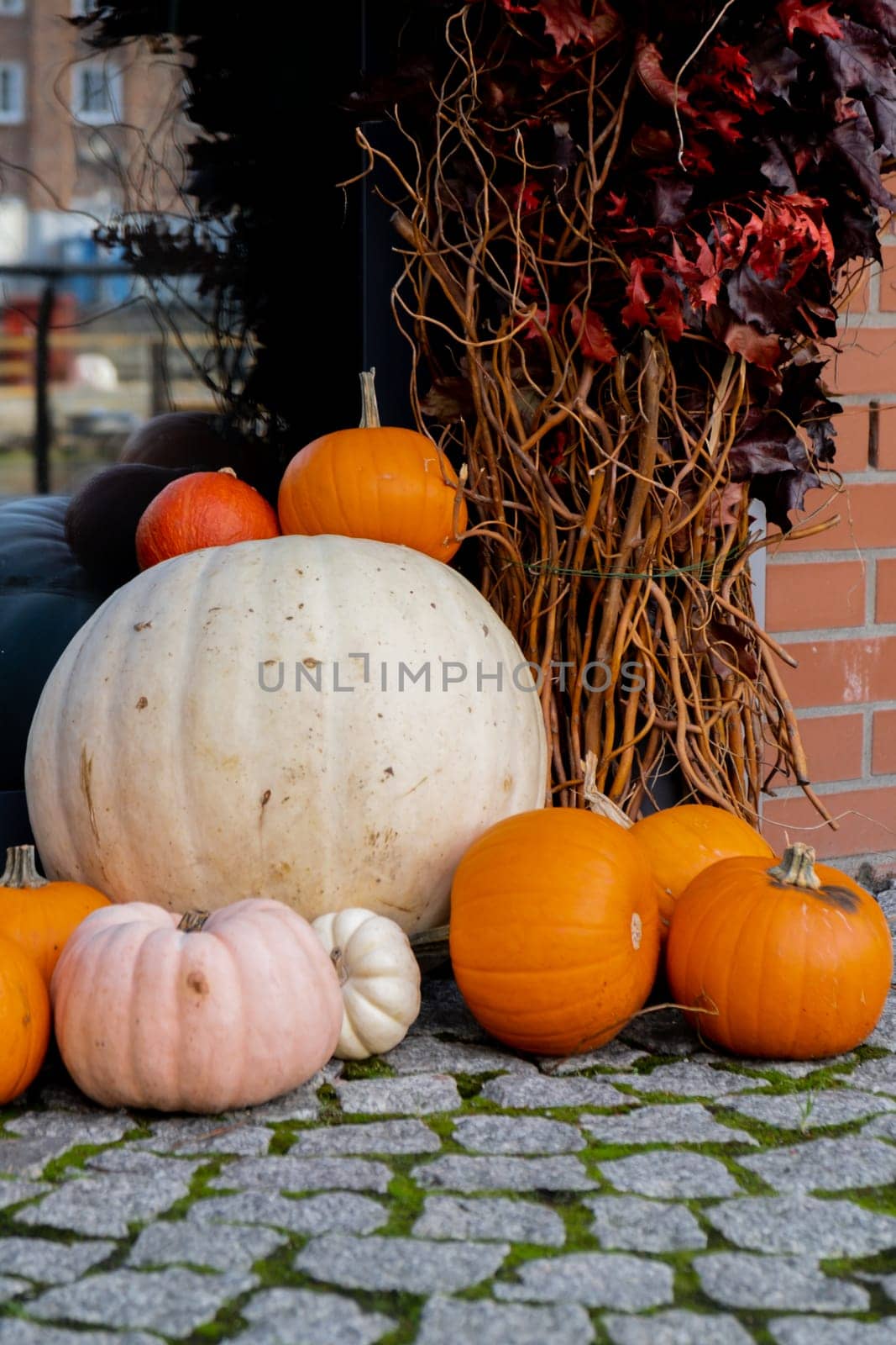 Exterior Beautiful cozy atmospheric halloween pumpkins decorated on porch. Autumn leaves and fall flowers celebration holiday Thanksgiving October season outdoors in city