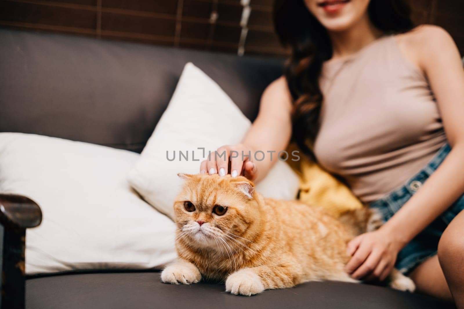 On an autumn day, a cheerful young Asian woman is resting at home on a sofa with her Scottish Fold tabby cat. She is stroking her cute ginger pet, and the moment is filled with togetherness and joy.