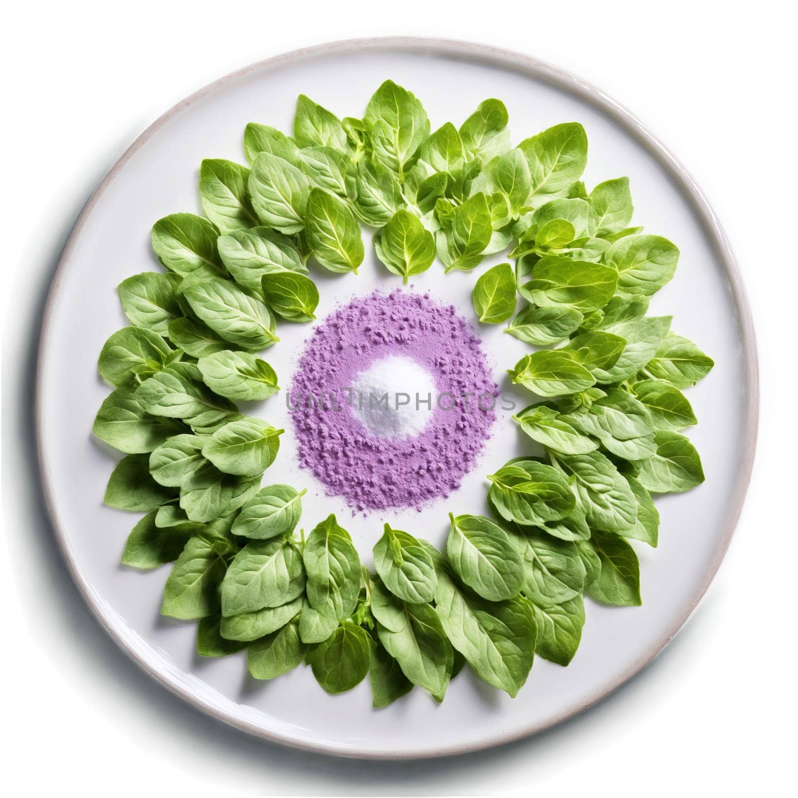 Marjoram mandala a sweet circular pattern of marjoram leaves with powder dusting and steam rising by panophotograph