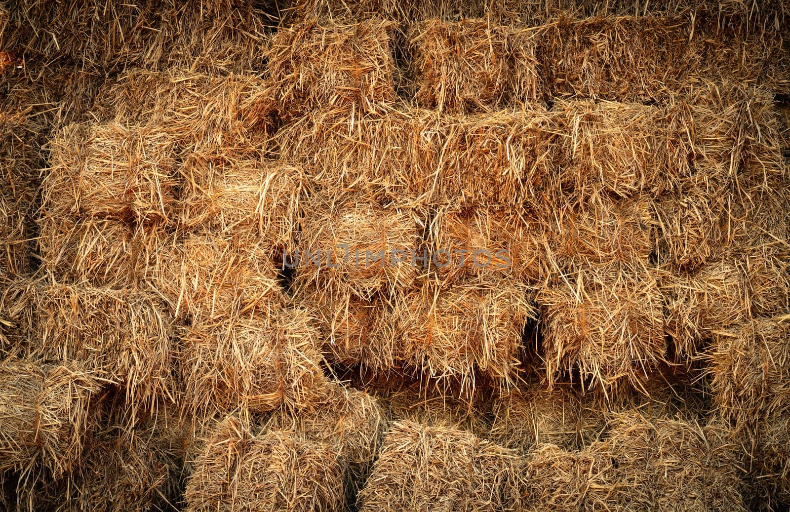 Dry straw bale and agricultural byproducts. stacked yellow straw bales for animal fodder and livestock bedding. Straw bales in sustainable farming. Agricultural byproducts. Agricultural practices. by Fahroni