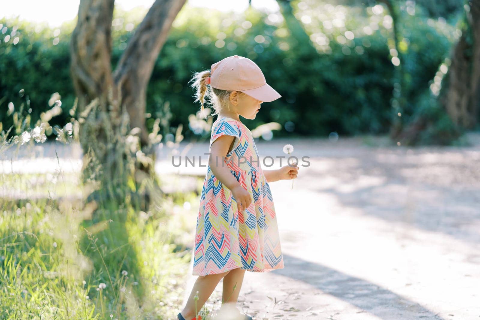 Little girl with a dandelion in her hand walks along the path in the park. Side view by Nadtochiy