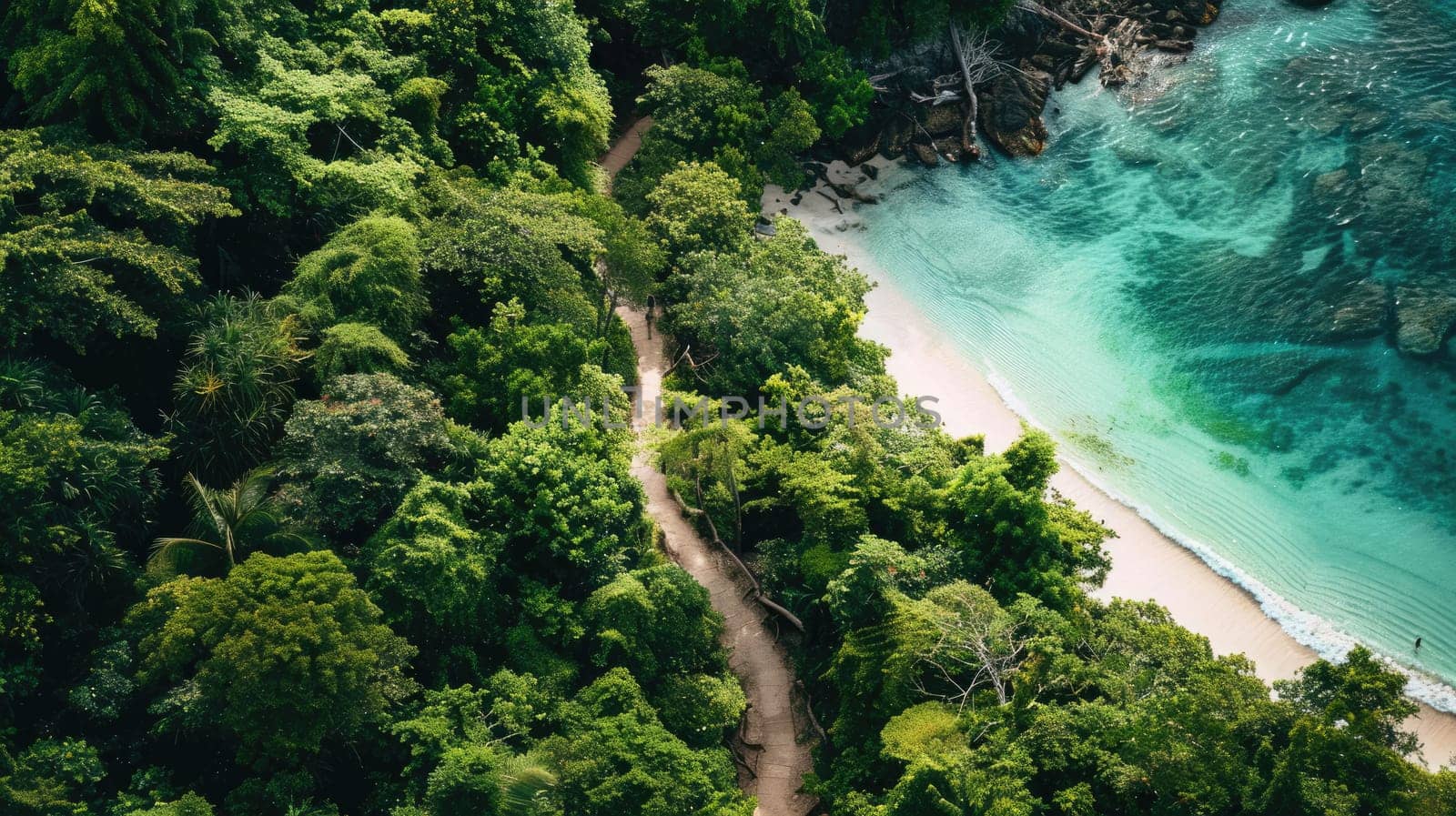 A natural landscape with a beach, trees, and water forming a serene view from above, showcasing the beauty of nature and fluvial landforms AIG50