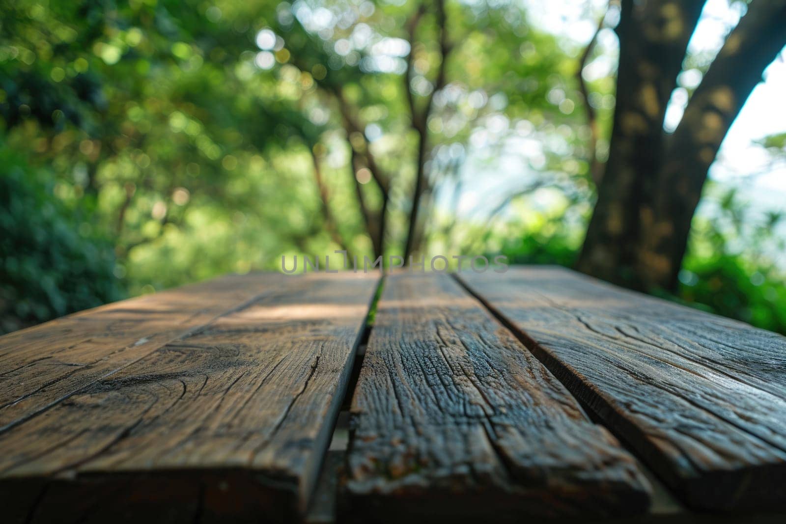 The picture of the wood table in the middle of the forest that surrounded with an uncountable amount of tree and plant in the forest with a bright light from the brightest sun of the daytime. AIGX03.