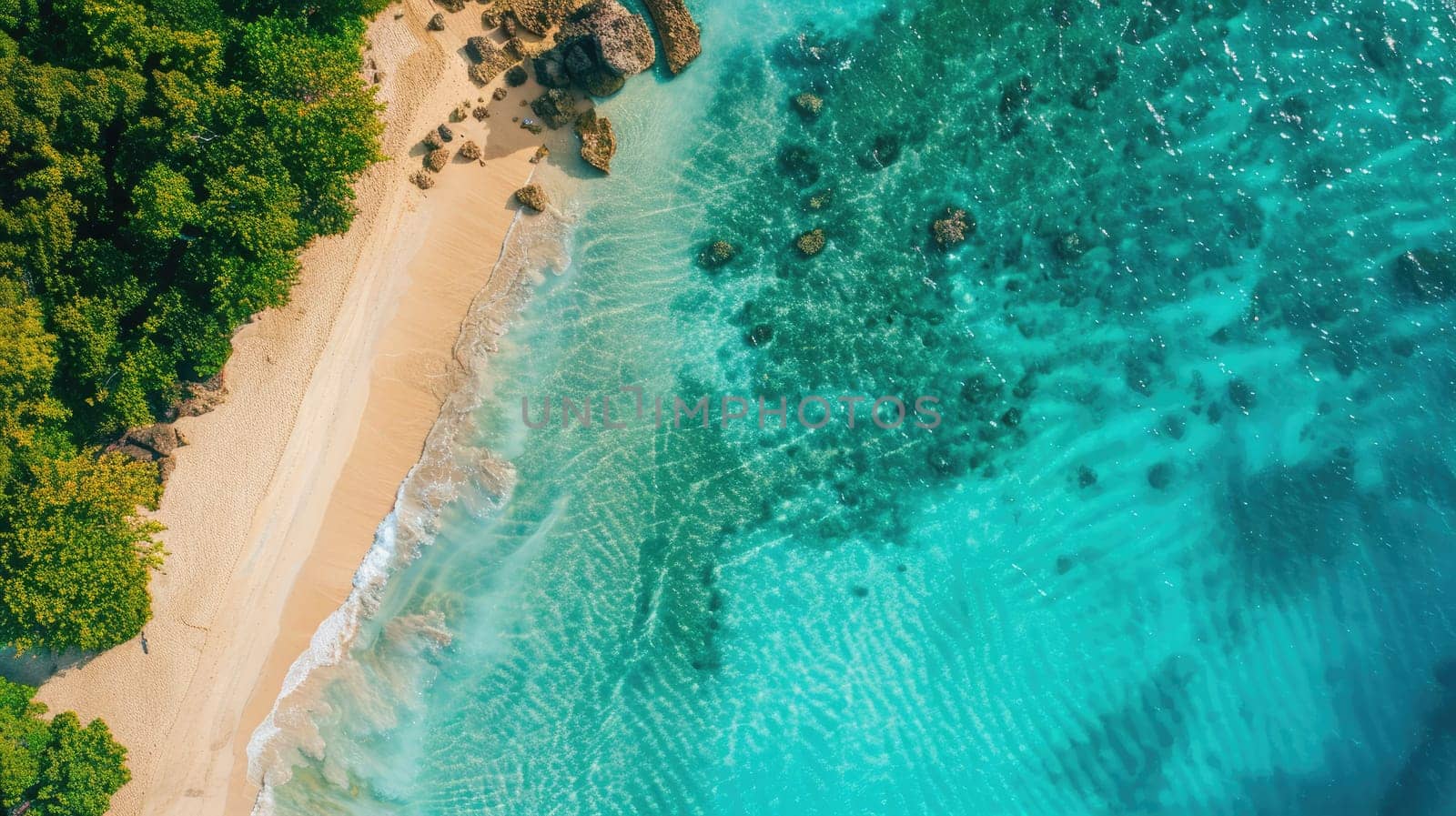 A stunning natural landscape featuring a beach lined with trees, surrounded by turquoise water. Perfect for a peaceful and relaxing travel destination AIG50