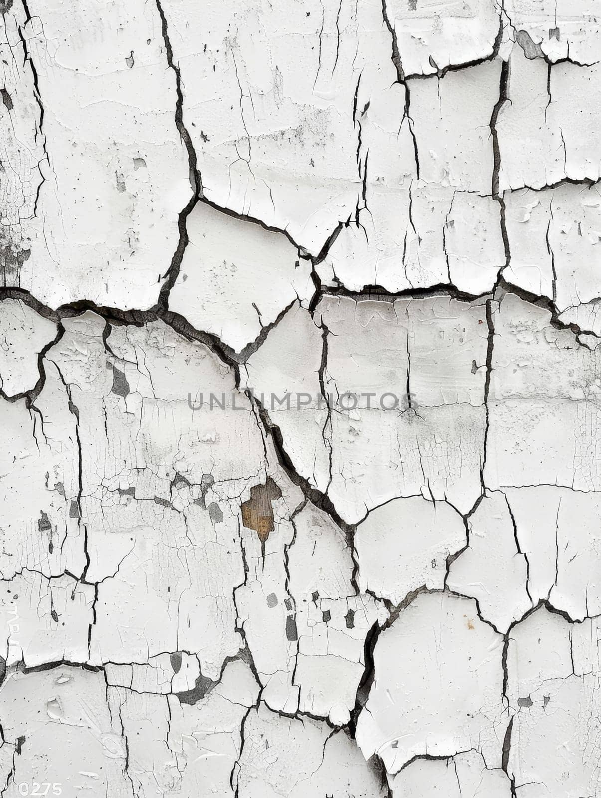 The stark white wall displays a web of crackled paint, showcasing the beauty of age and natural decay. The texture speaks to the enduring character of surfaces over time