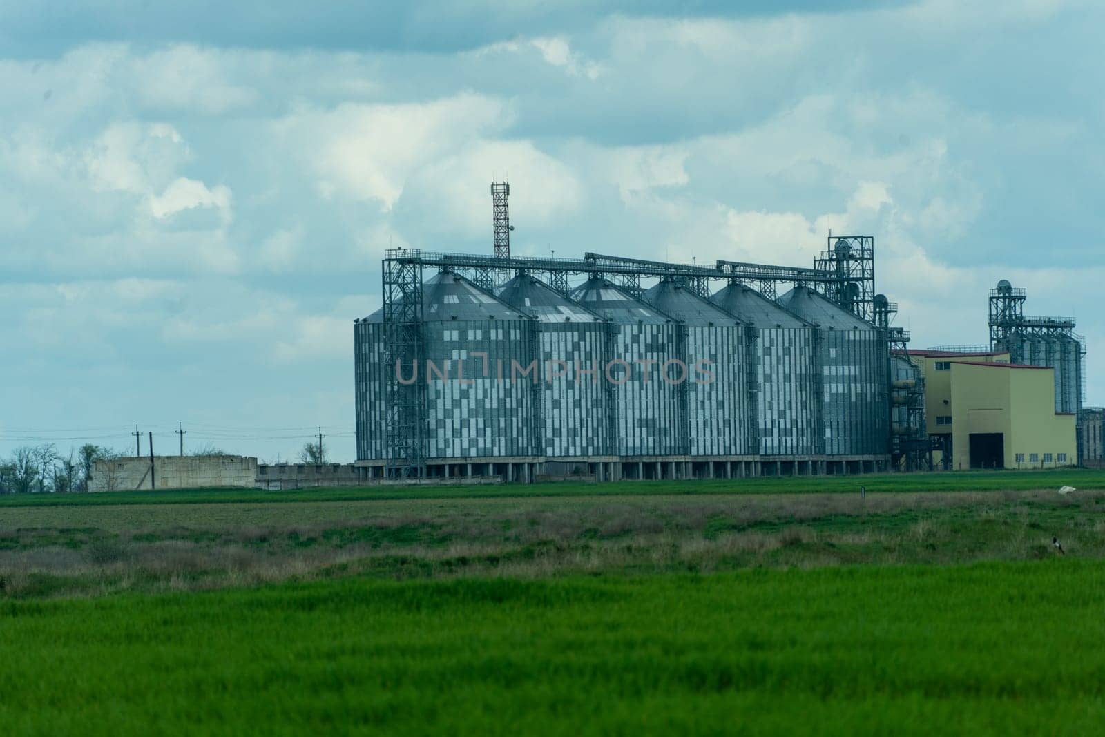 Granary elevator, silver silos on agro manufacturing plant for processing drying cleaning and storage of agricultural products, flour, cereals and grain. A field of green wheat
