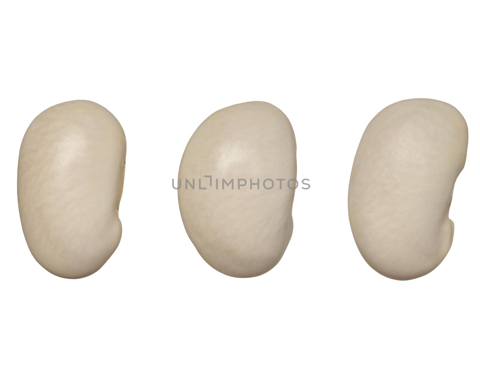 Raw white beans on isolated background, top view