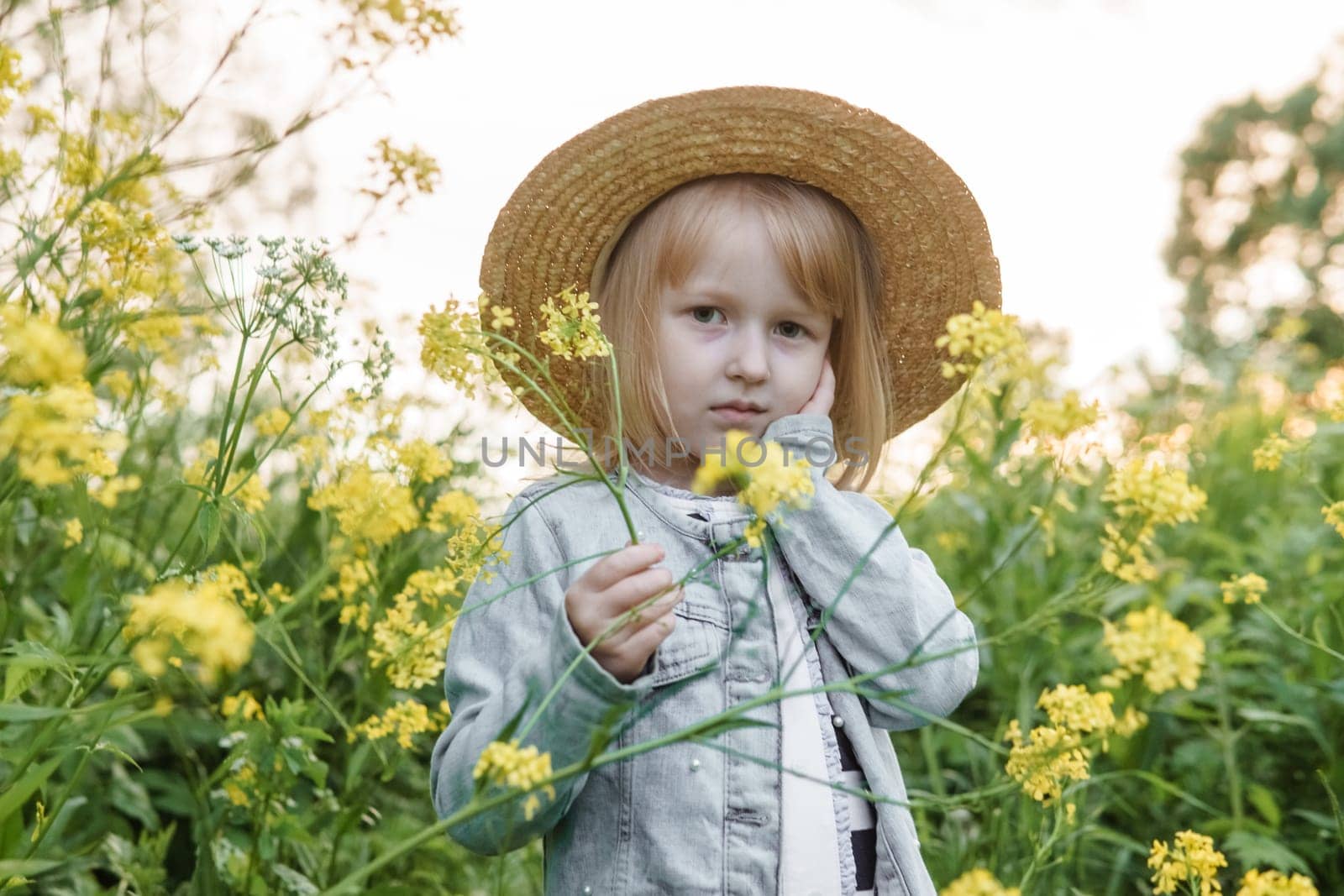 Blonde girl in a field with yellow flowers. A girl in a straw hat is picking flowers in a field. A field with rapeseed