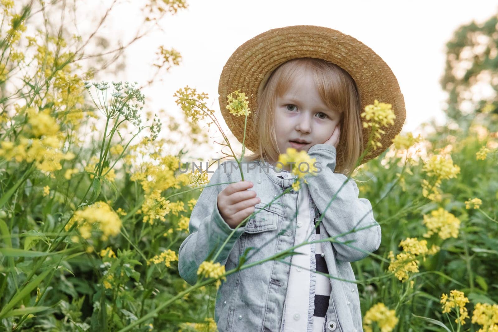 Blonde girl in a field with yellow flowers. A girl in a straw hat is picking flowers in a field. A field with rapeseed