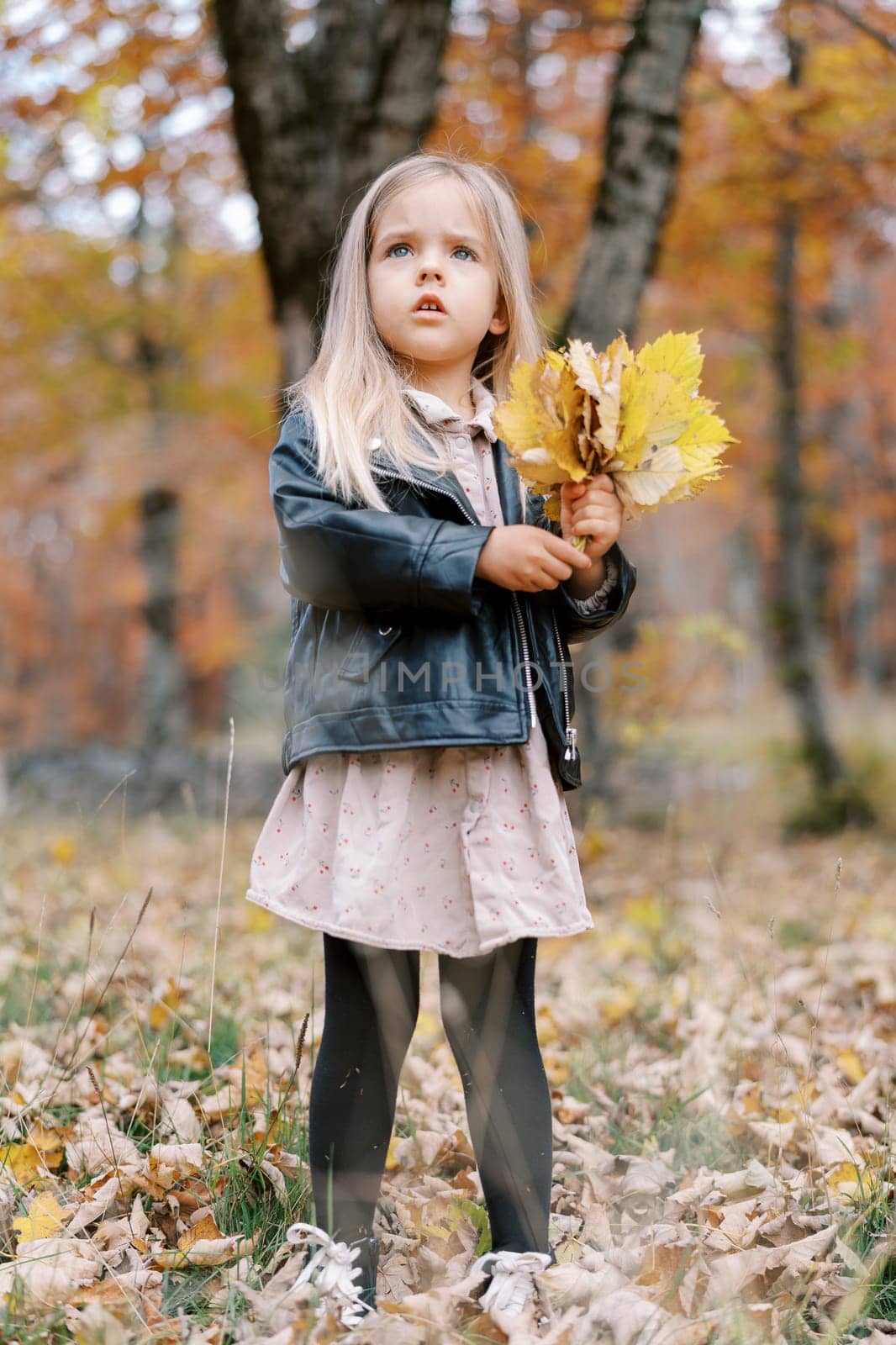 Little girl with a bouquet of yellow leaves stands in the park and looks up with anxiety. High quality photo