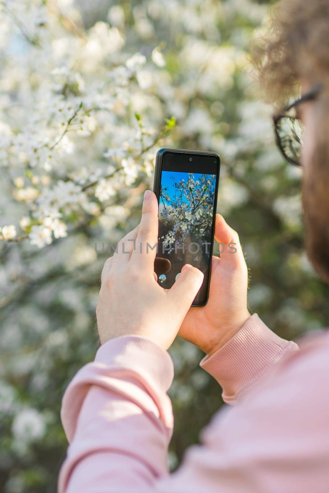 Man holding mobile phone and take photo blooming spring cherry and apples trees in sunlight. Smartphone photo for social media. by Satura86