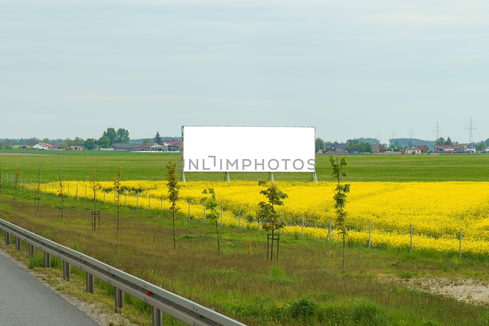 A field of yellow flowers with a billboard in the foreground under a clear sky by Sd28DimoN_1976