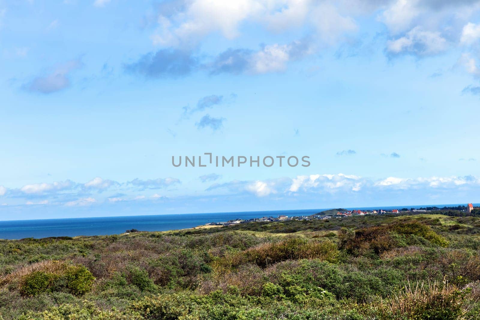Beautiful landscape with green grass and bushes by the sea. Sand dunes overgrown with grass on the north sea.