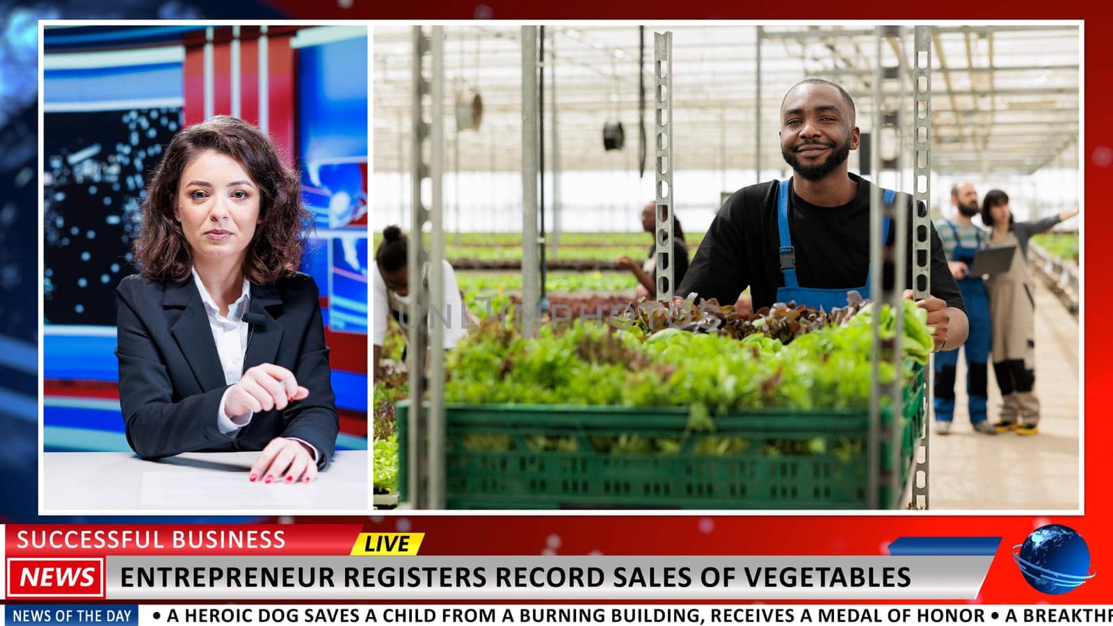 New farming business reported by anchrowoman, talking about small business owner growing healthy produce in greenhouse. News reporter covering creative business ideas live on tv.