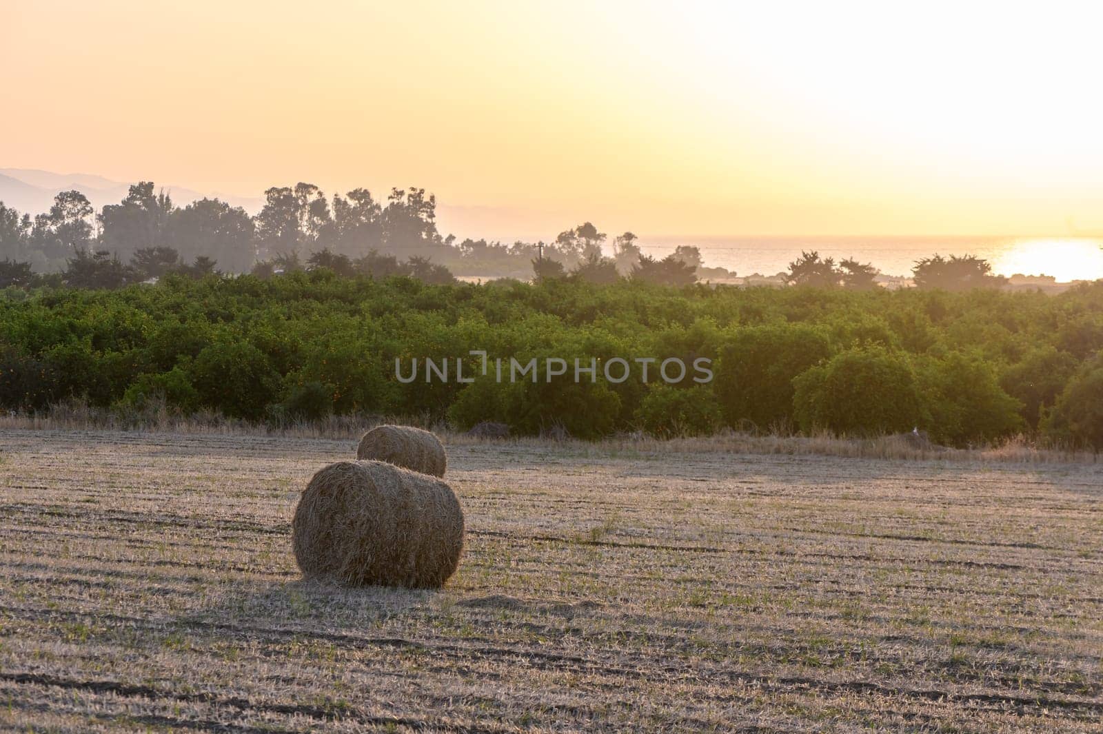 Straw bales on farmland with blue cloudy sky by Mixa74