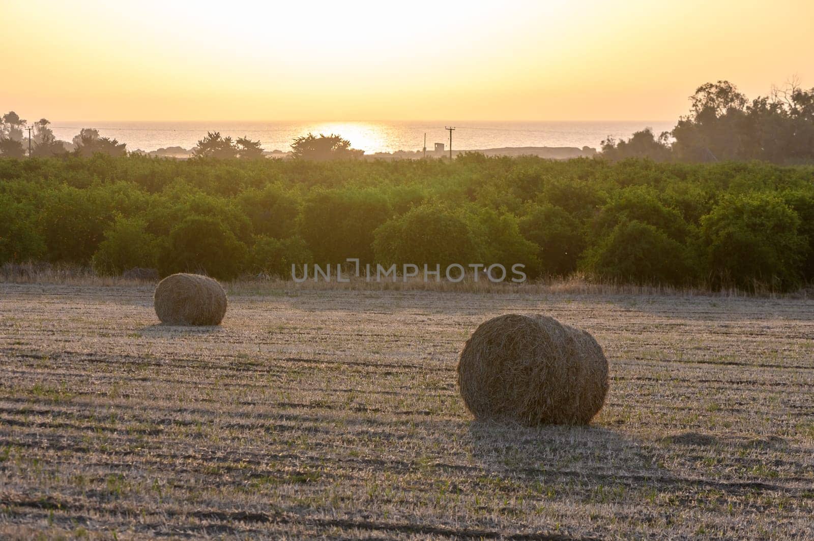 Hay bales were rolled in a farm field 1 by Mixa74