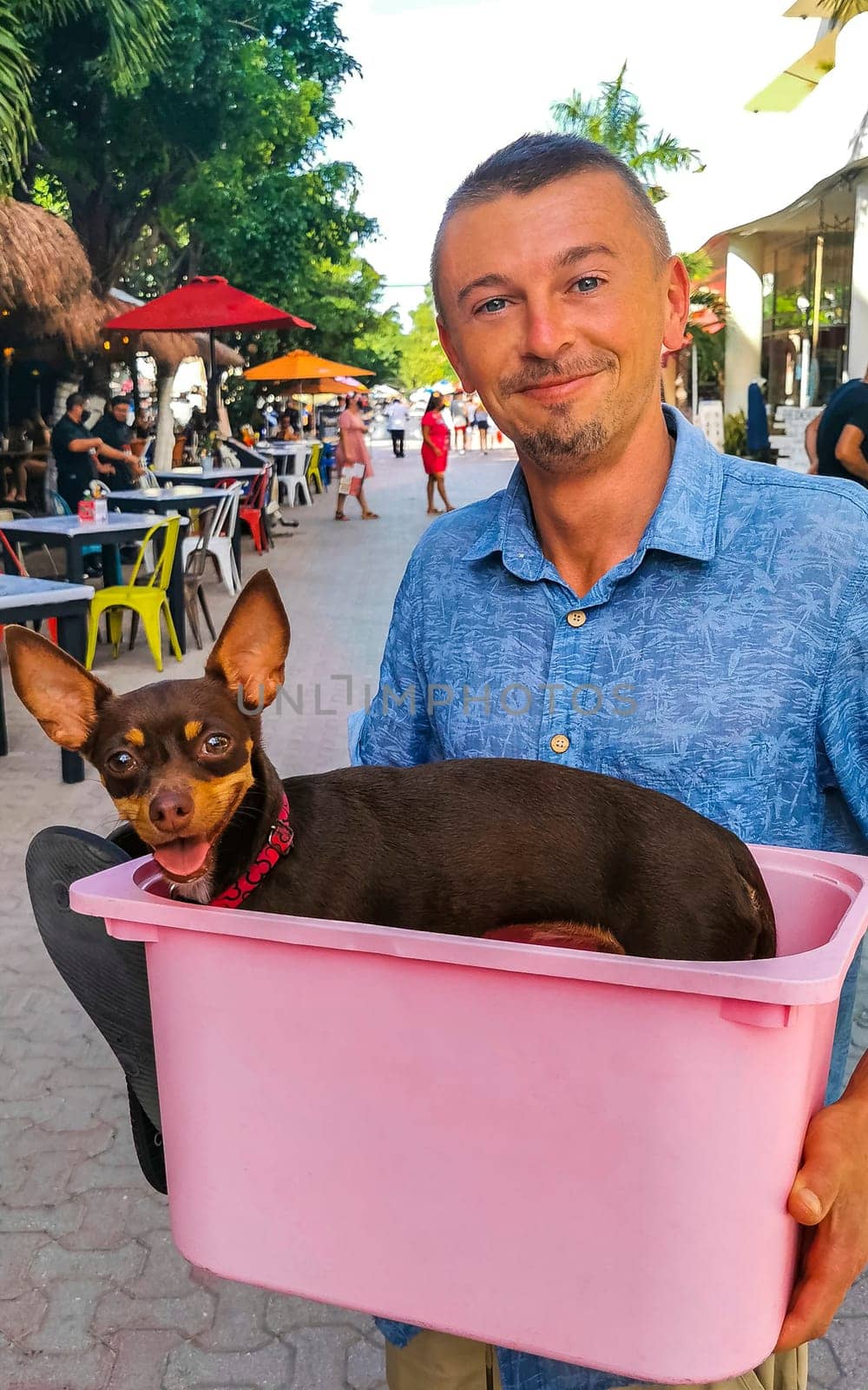 Happy man with dog in a pink box in Playa del Carmen Mexico. by Arkadij