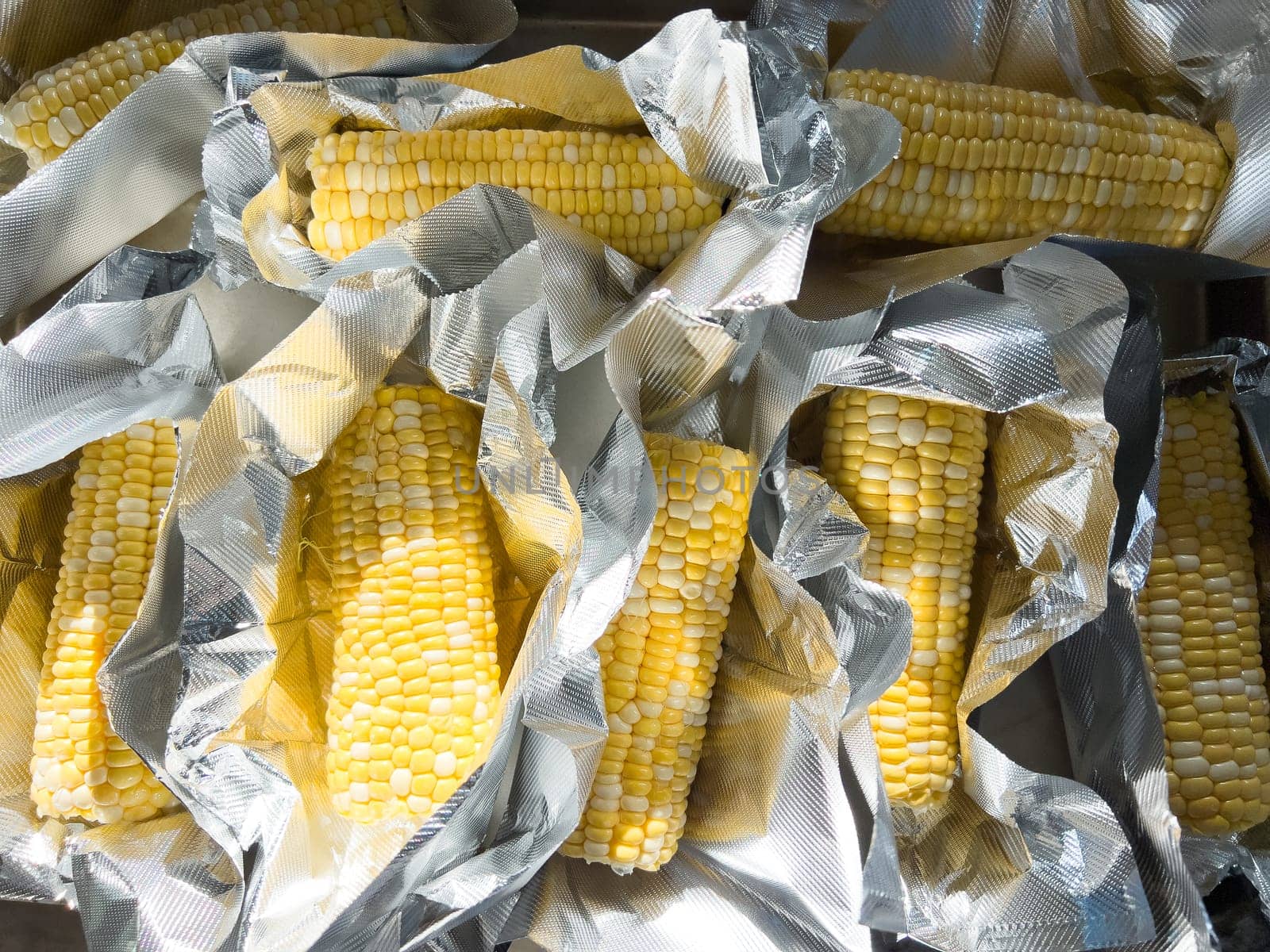 This image showcases fresh corn on the cob, neatly arranged in vacuum-sealed plastic packaging to preserve its freshness and flavor, ready for distribution or sale.