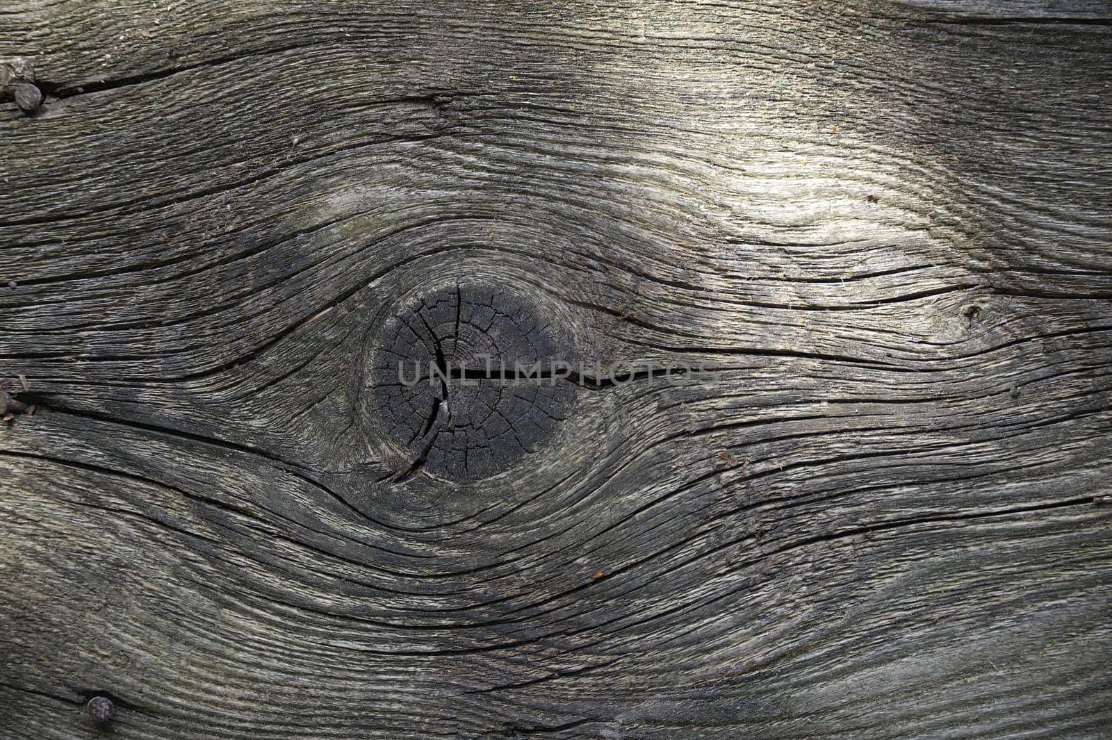 Background of aged wood with deep cracks and knots by NetPix