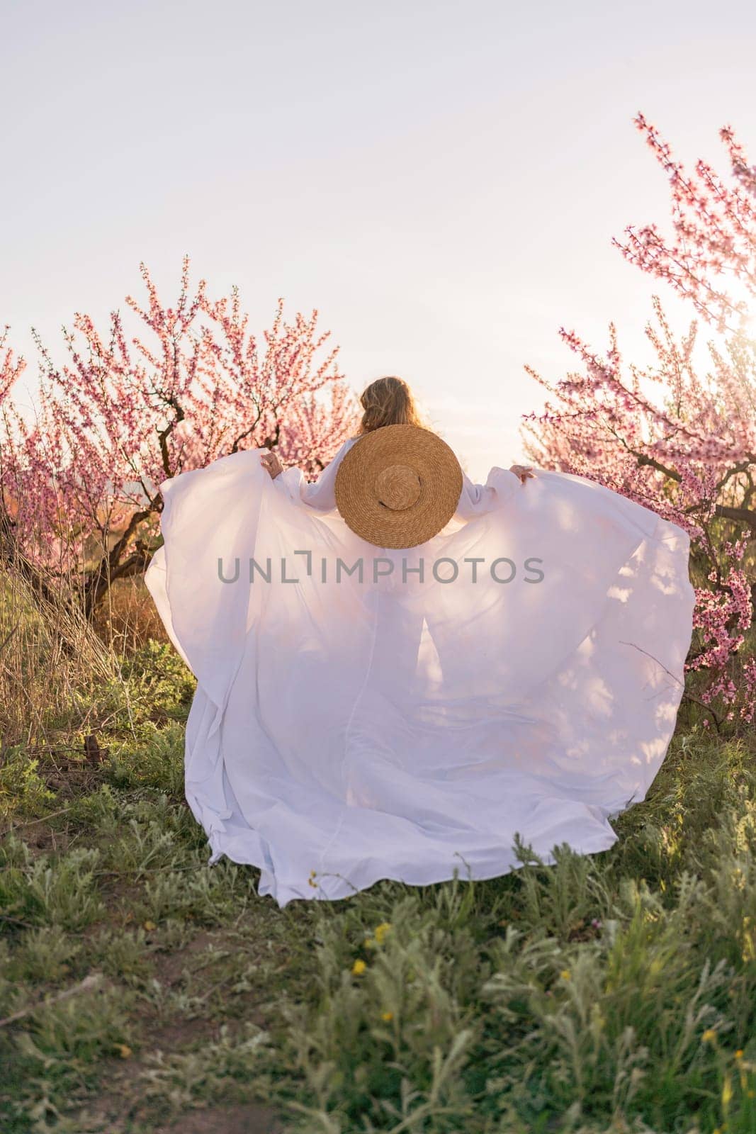 Woman blooming peach orchard. Against the backdrop of a picturesque peach orchard, a woman in a long white dress and hat enjoys a peaceful walk in the park, surrounded by the beauty of nature