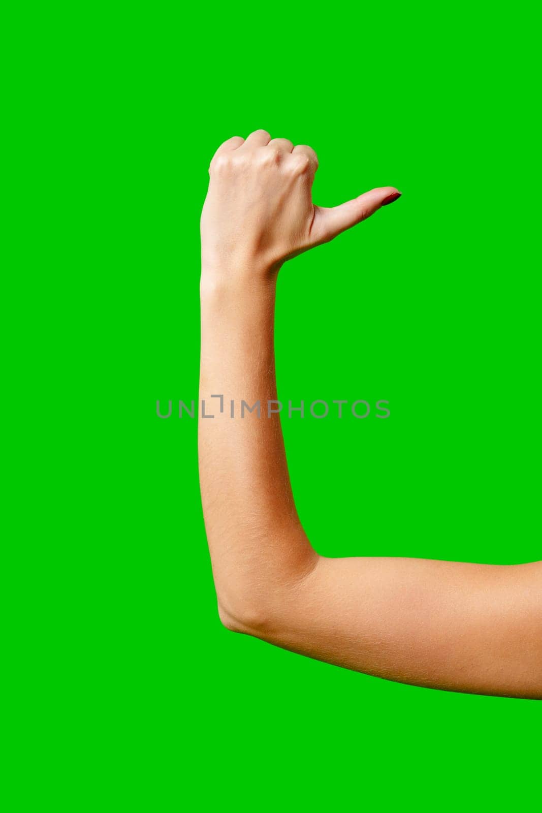 Womans Arm Hand Sign Raised in the Air by Fabrikasimf