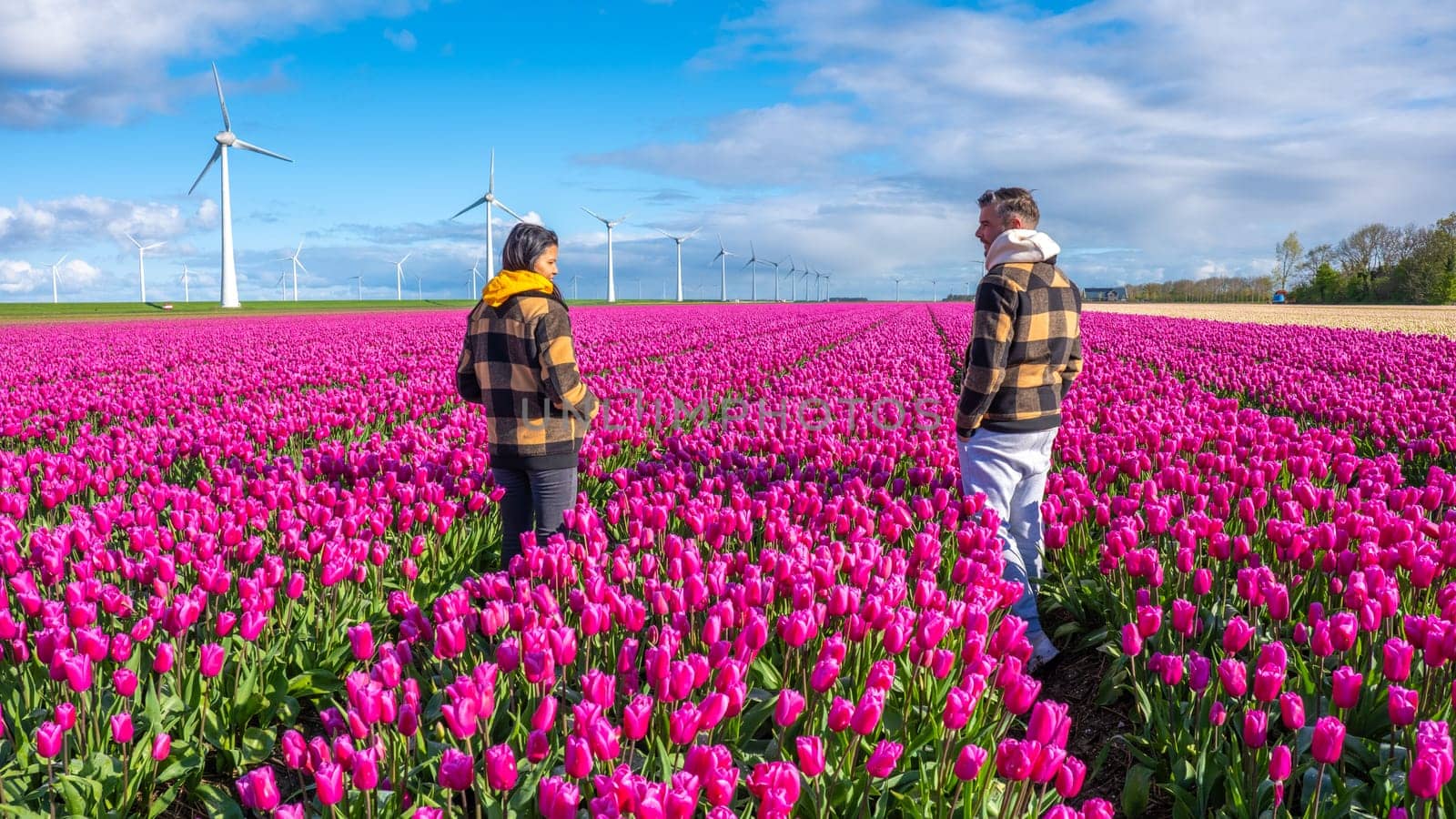 Two people standing gracefully in a vibrant field of purple tulips, surrounded by the beauty of nature in full bloom. a couple of men and women in a flower field