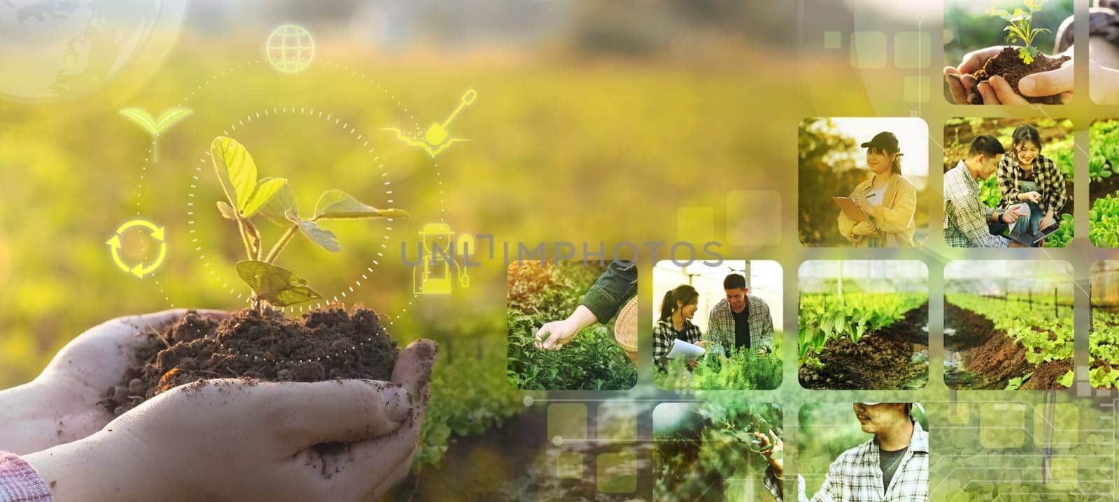 Hands holding young plant with various icons. Environmental, ecological and sustainable concept.