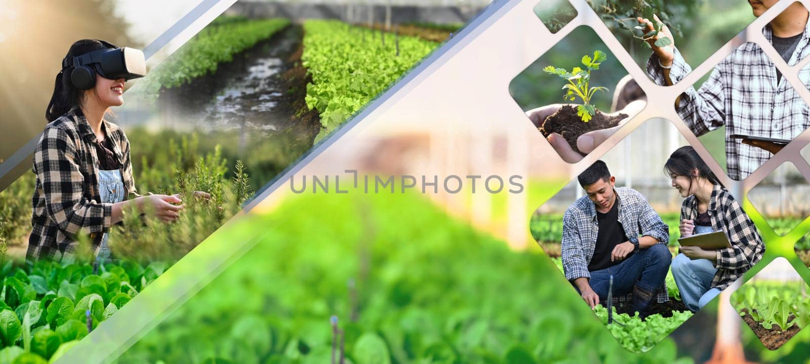 Smart farming and Innovation agricultural Concepts. Farmer wearing VR headset for controlling process in cultivation.