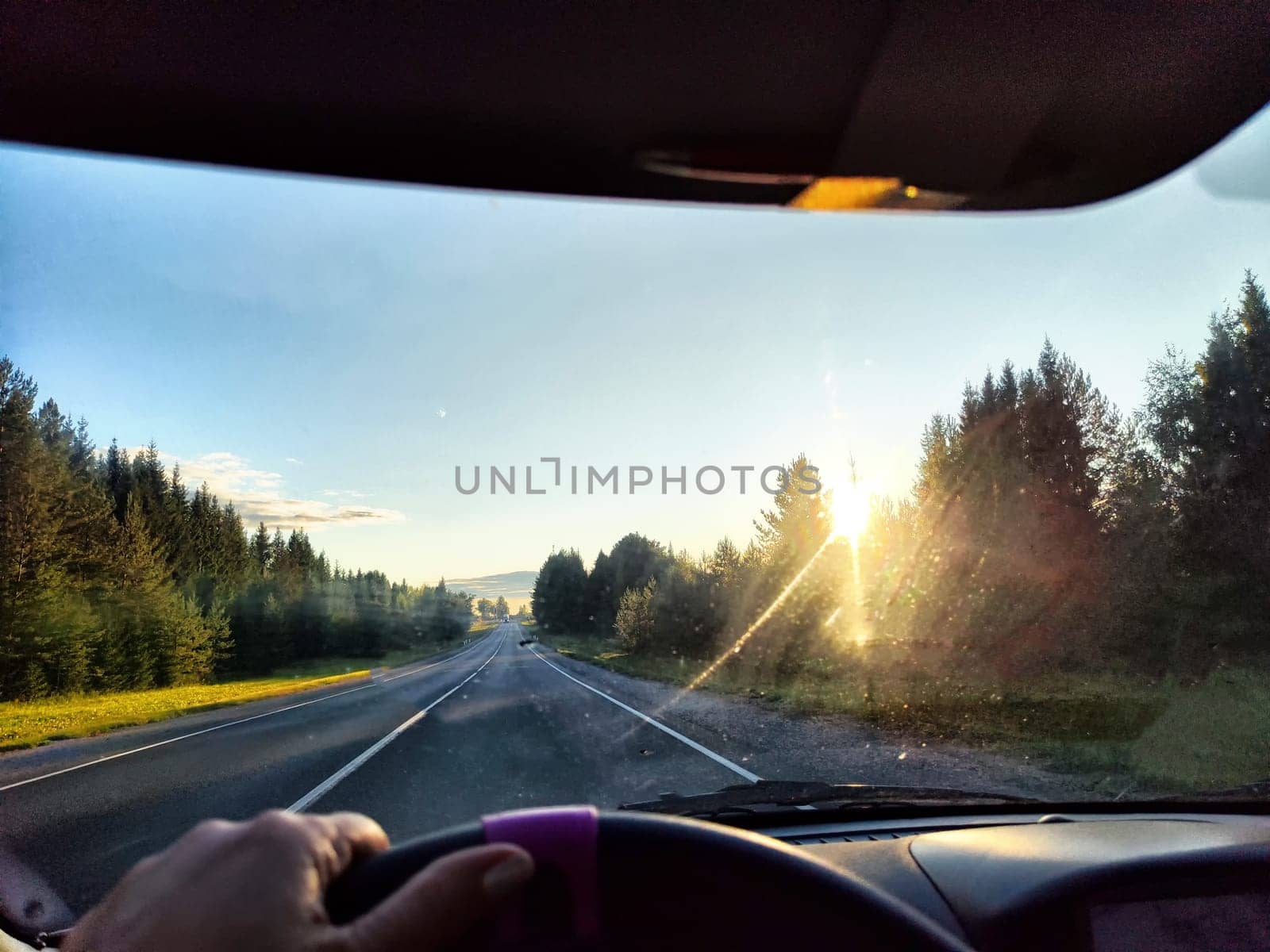 Car salon, windshield, hand of woman on steering wheel and landscape. View from seat of driver on nature at sunny day. Single trip of female traveler