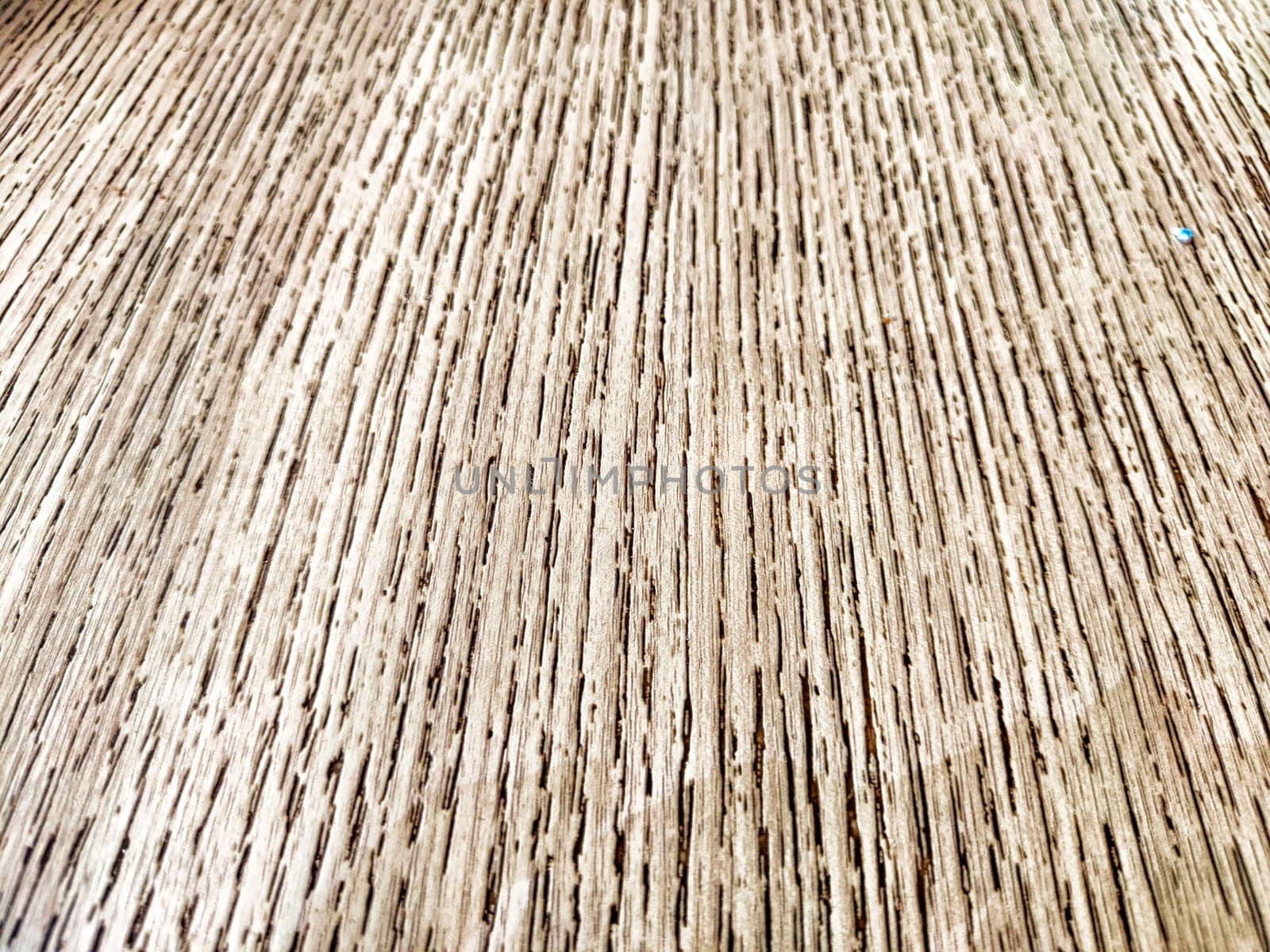 Textured Wooden Surface Detail Captured in Natural Light. Close-up of the intricate grain pattern on wooden surface.