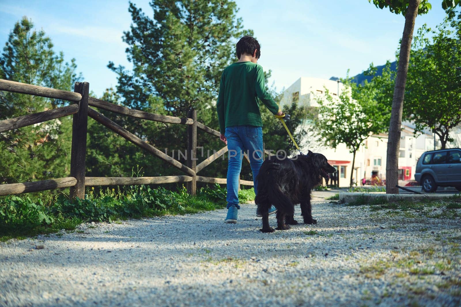 Rear view of child boy walking a dog on a leash outdoors. School age boy spending time with his domestic pet on the nature. People and animals concept by artgf