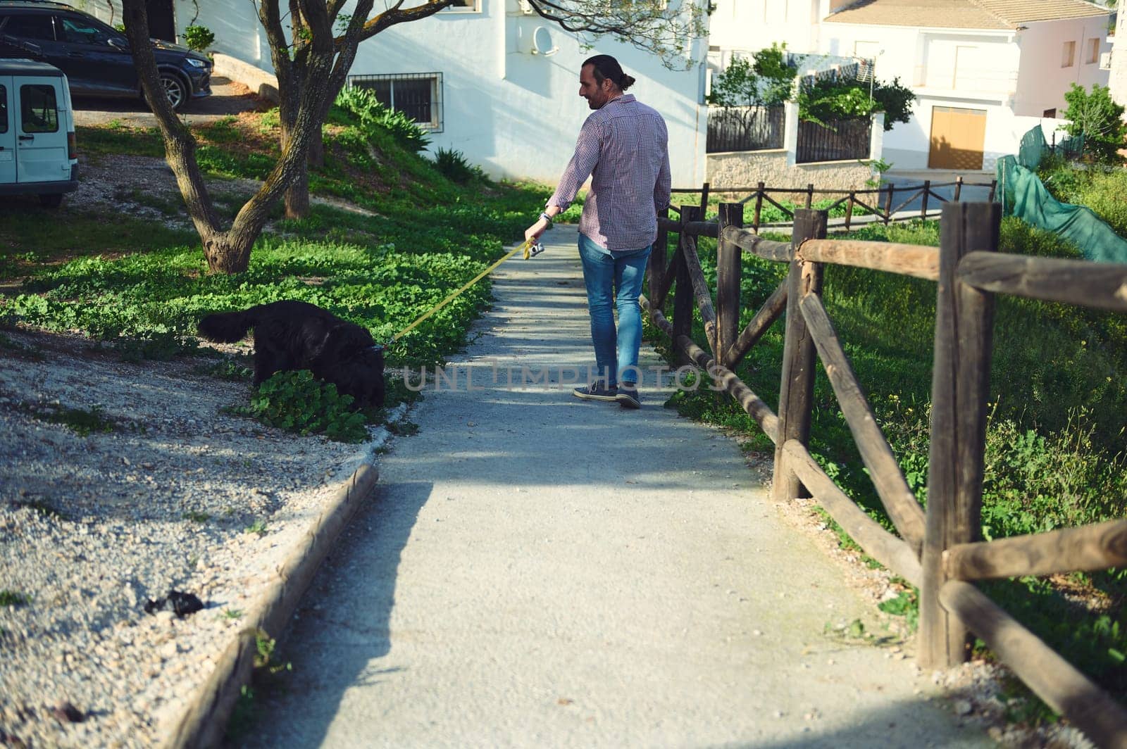 Rear view of an adult man walking a dog outdoors, spending time with his domestic pet on the nature. People and animals concept. by artgf