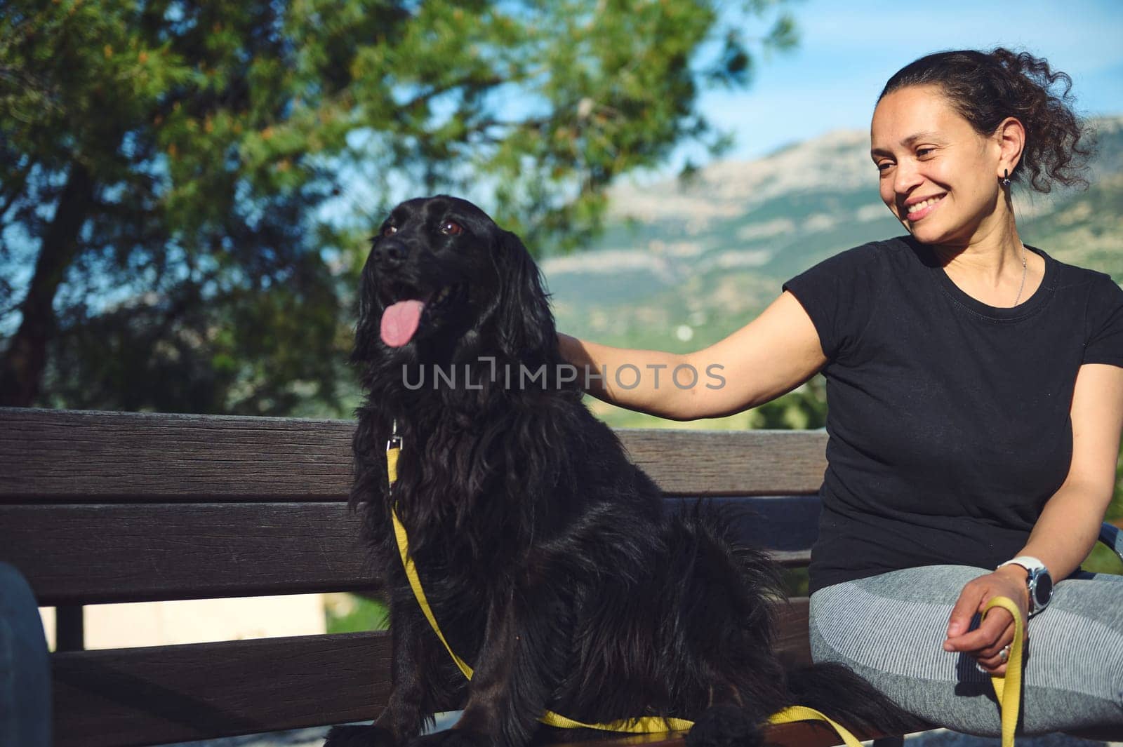 Beautiful woman sitting on city bench with her dog during walk in the morning. Smiling pretty woman stroking her young black cocker spaniel pet, sitting on a bench in the mountains nature