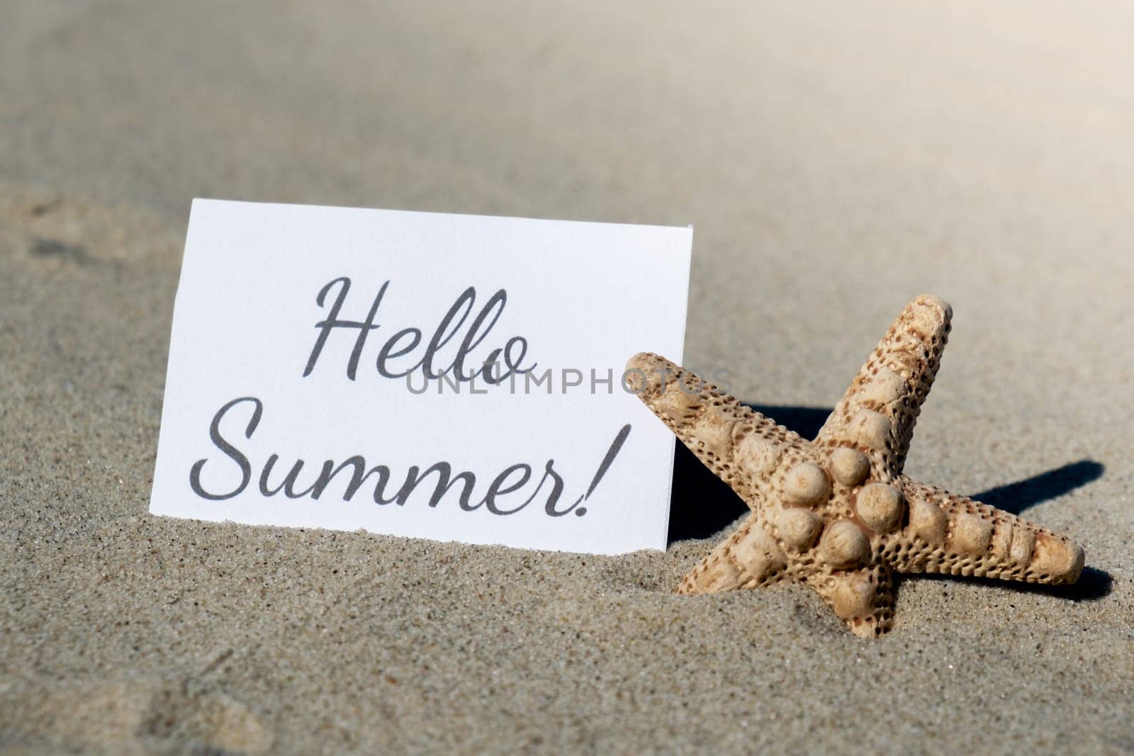 HELLO SUMMER text on paper greeting card on background of starfish seashell summer vacation decor. Sandy beach sun coast. Holiday concept postcard. Getting away Travel by anna_stasiia