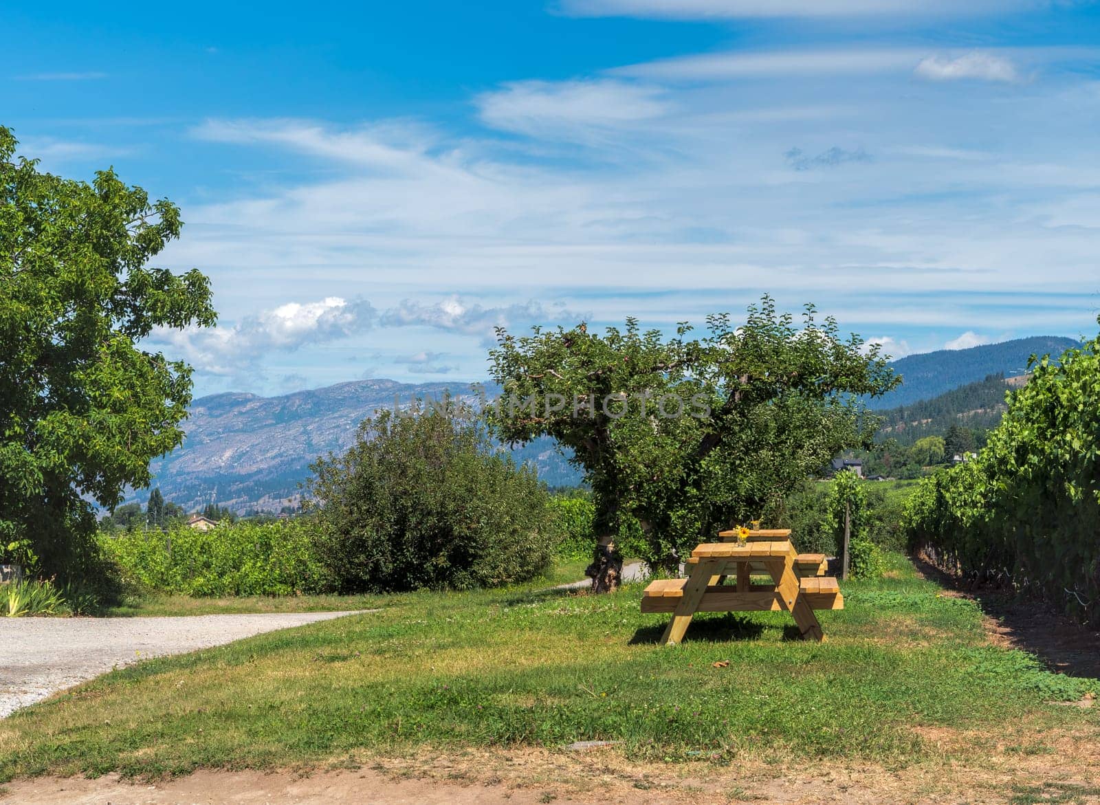 Wooden table and benches in recreation area with beautiful overview of mountains.