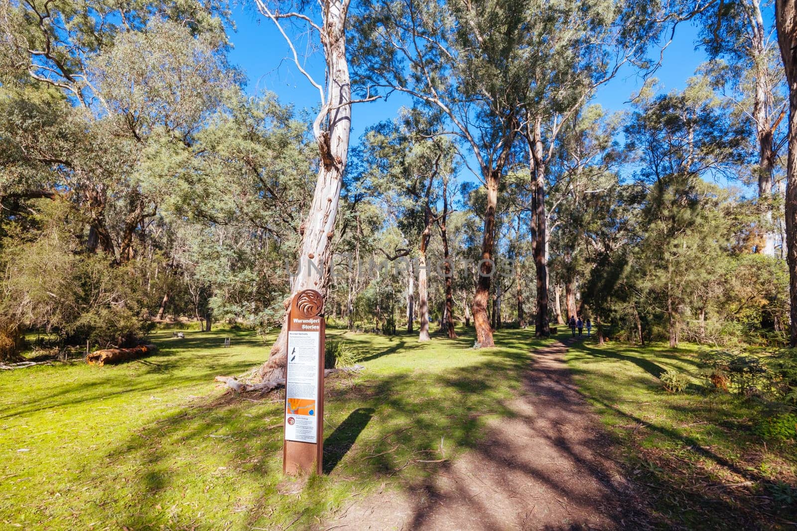 Pound Bend Reserve in Warrandyte State Park on a cool autumn day in Warrandyte, Victoria, Australia.