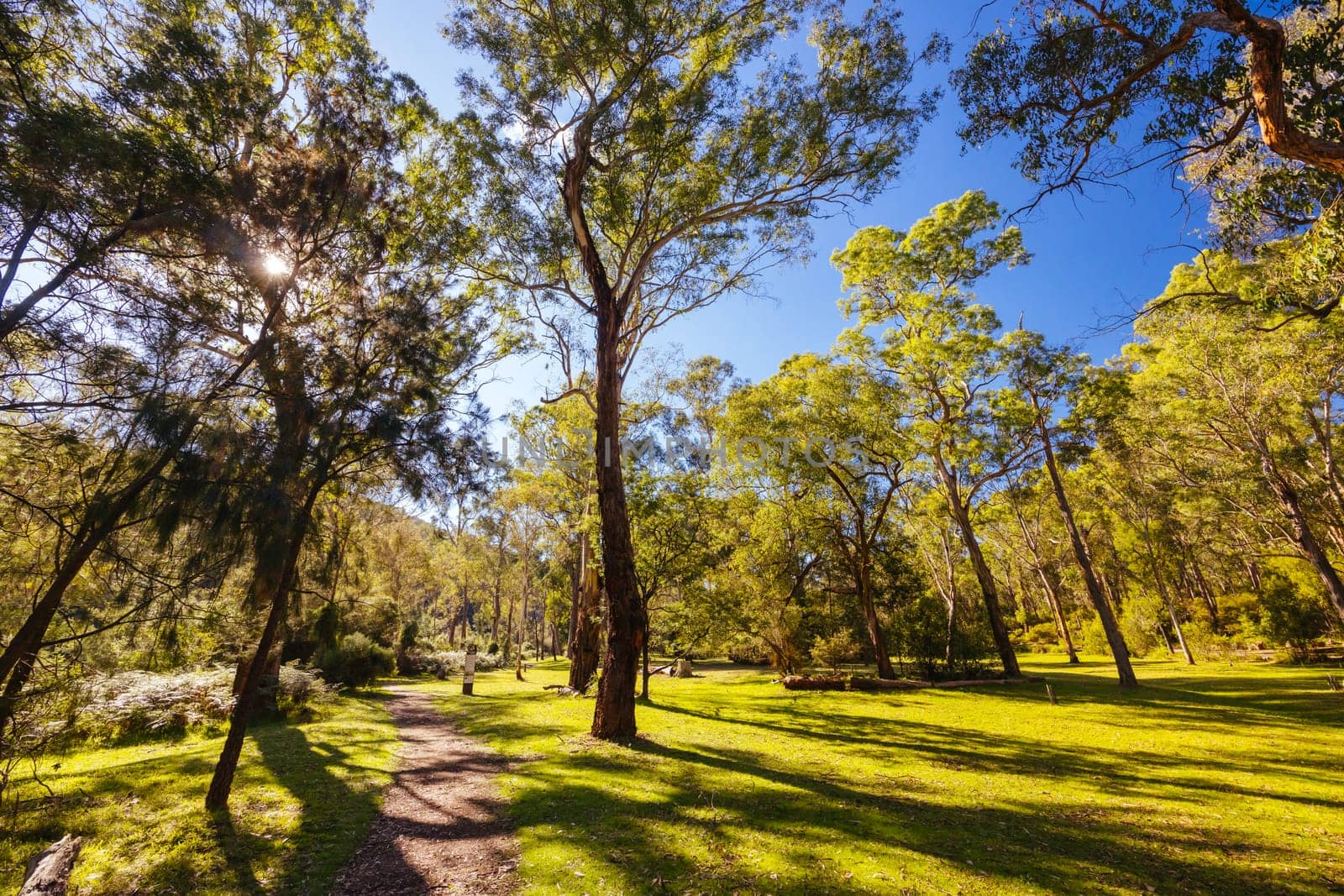 Pound Bend Reserve in Warrandyte State Park on a cool autumn day in Warrandyte, Victoria, Australia.
