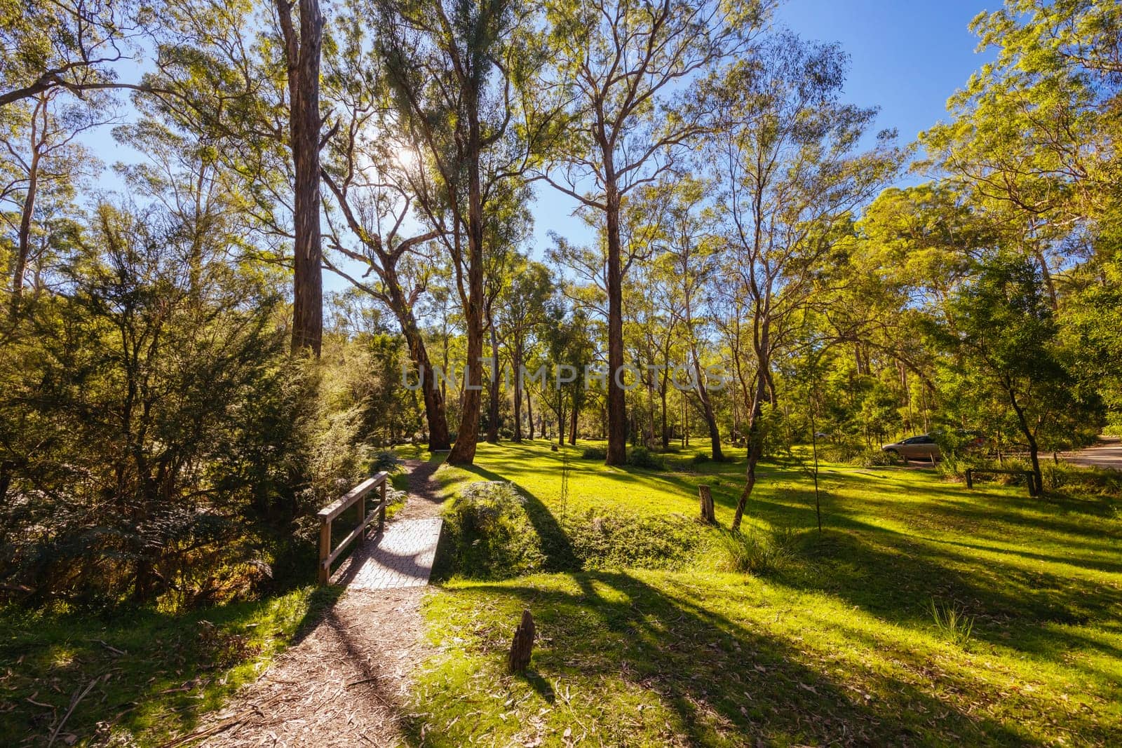 Pound Bend Reserve in Melbourne Australia by FiledIMAGE