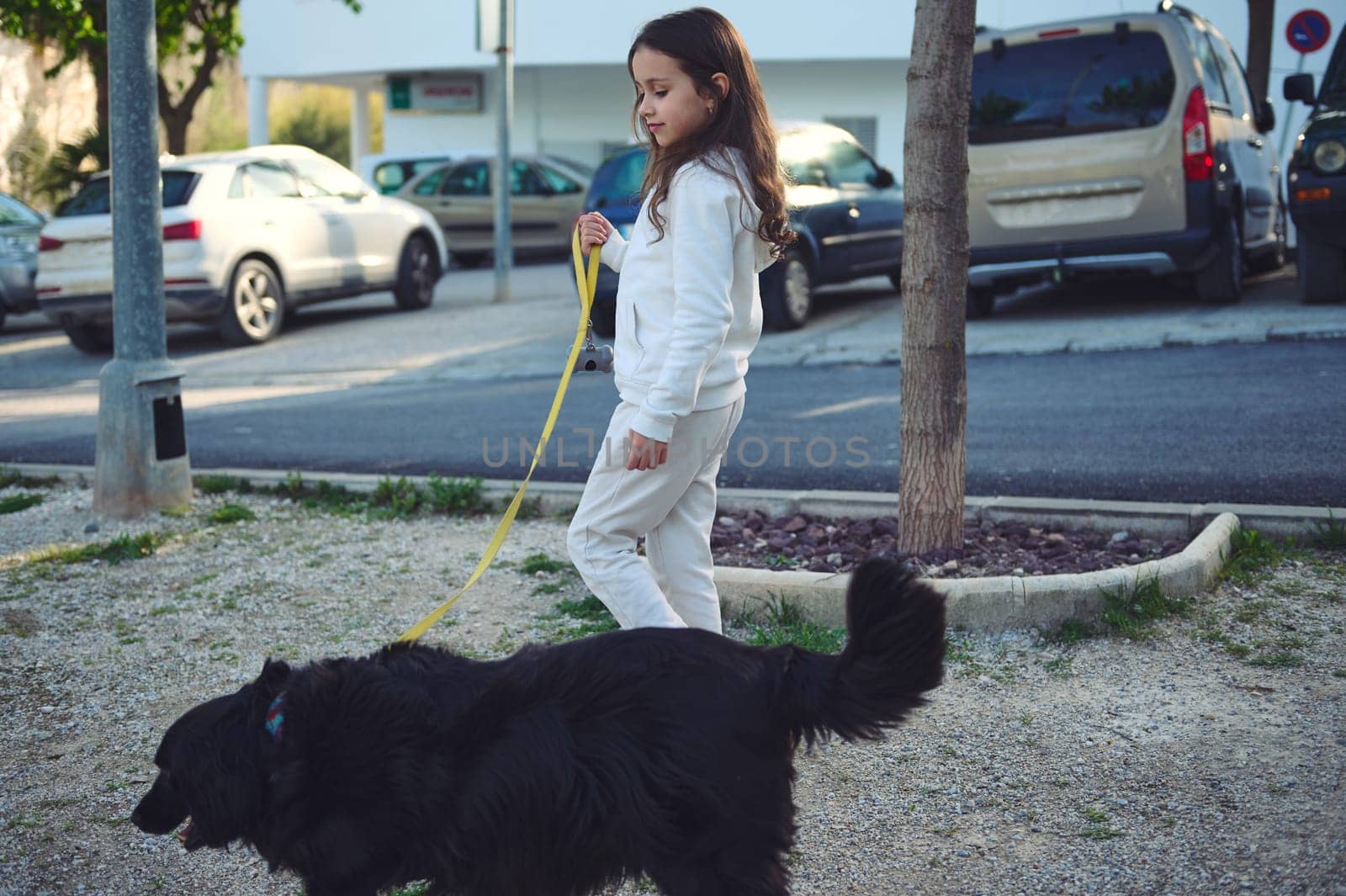 Cute child girl walking her pedigree pet on leash , a young black cocker spaniel dog outdoors. Playing pets. People and animals concept by artgf