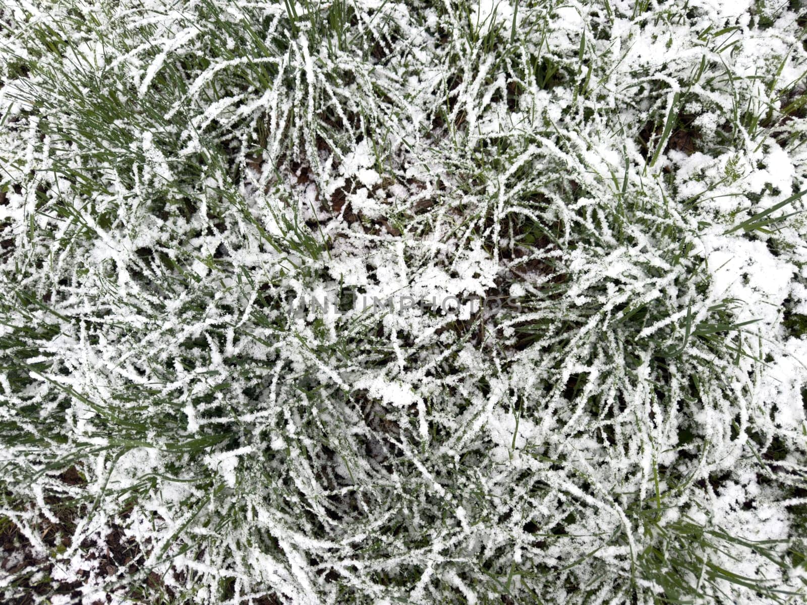 white snow lies on green grass by Igorsmirnof