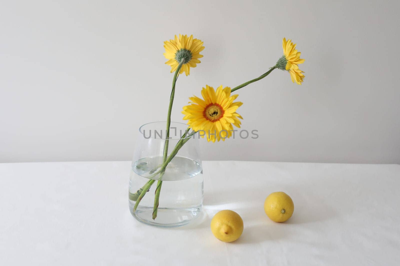 still life with lemons and yellow gerberas in a glass jar on a table covered with linen tablecloth. Summer composition with lemons and yellow flowers on kitchen table. by paralisart