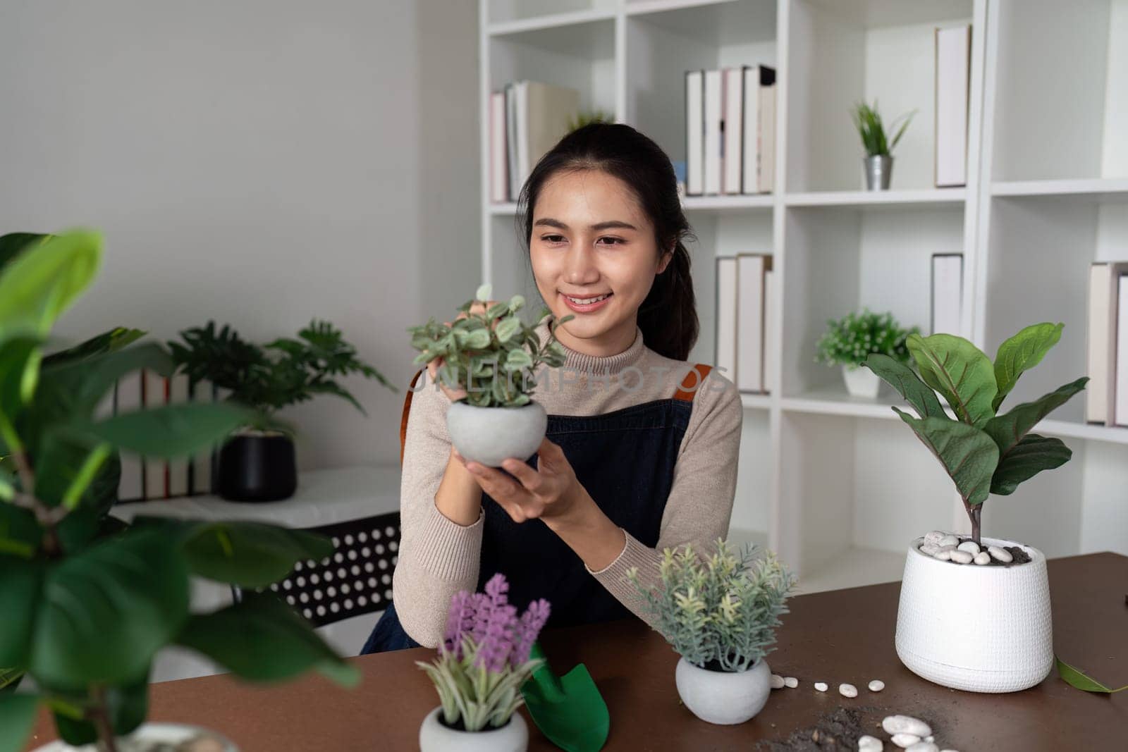 Young Asian woman smiling friendly holding flower pot with green plant house and looking in living room. Concept of home garden. Taking care of home plants.
