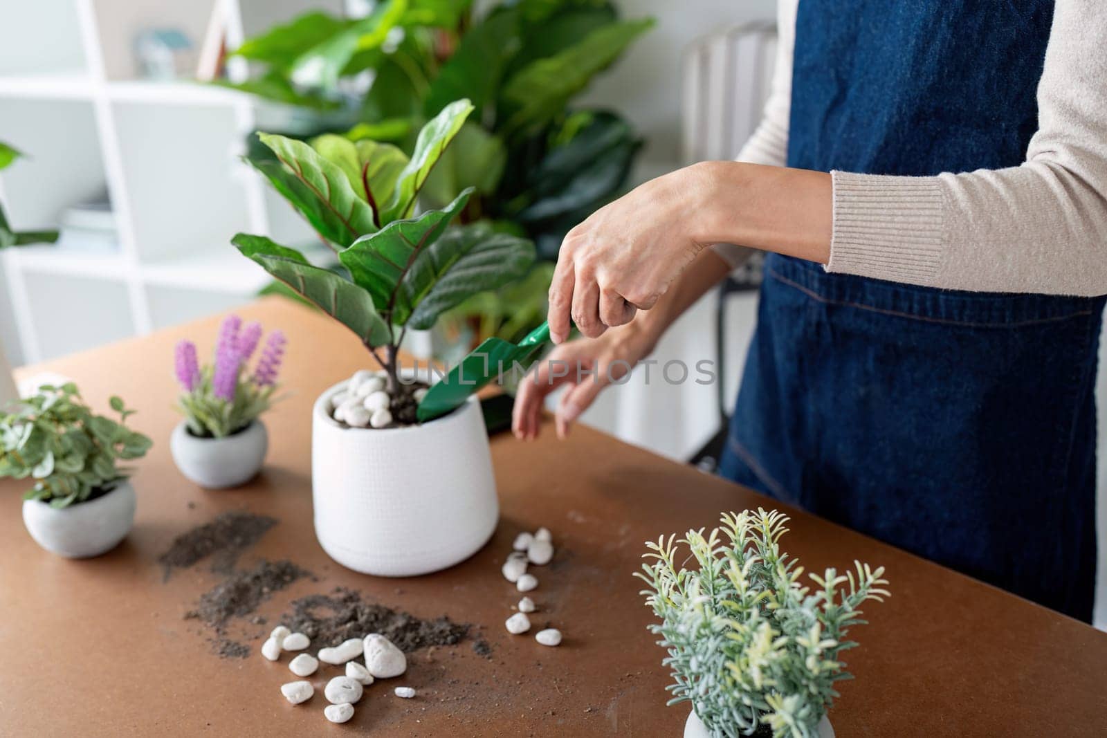 Hobby, young woman transplanting in ceramic flower pot, houseplant with dirt or soil on table at home by nateemee
