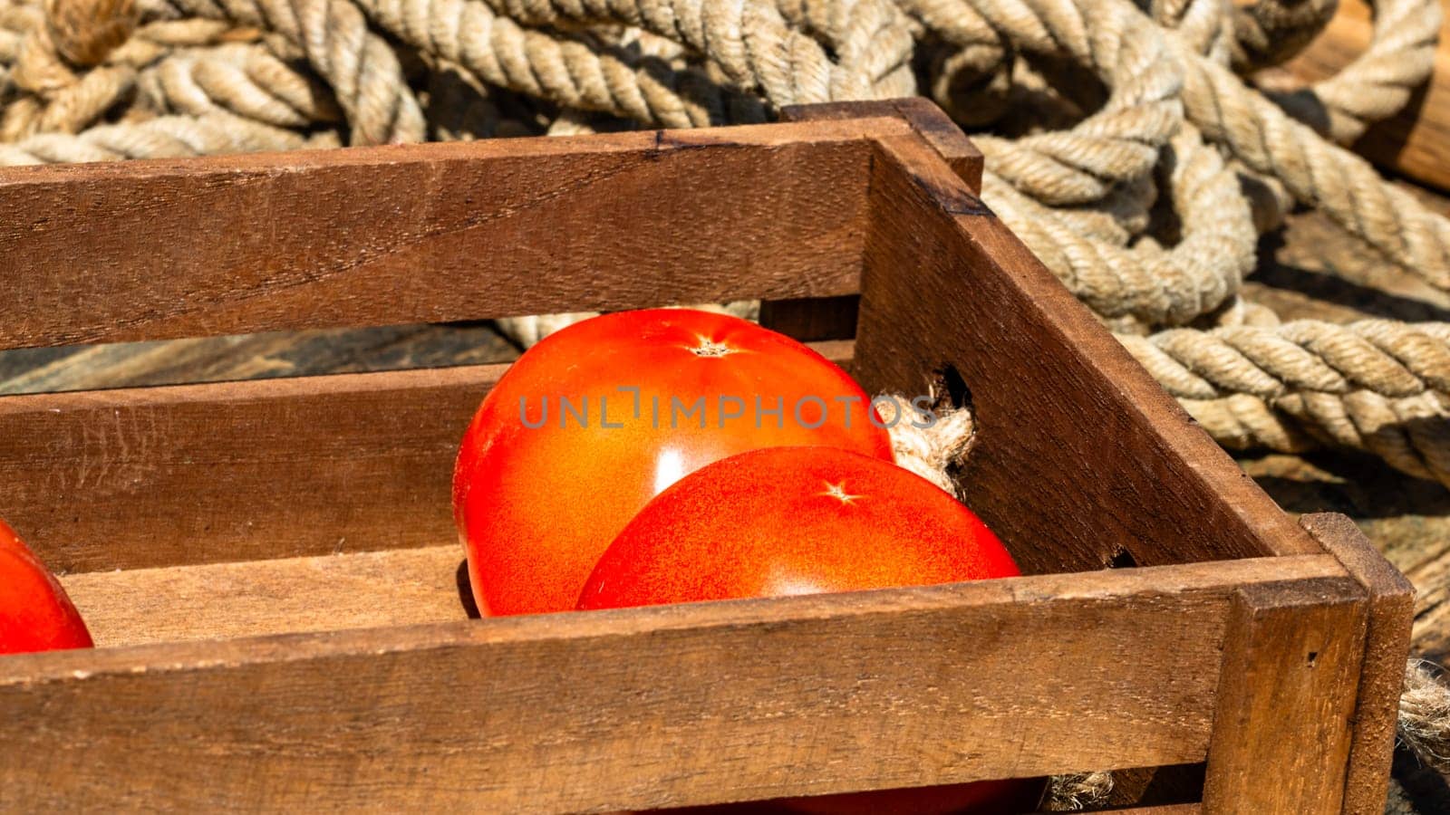 Wooden crate with fresh ripe tomatoes isolated in a rustic composition,