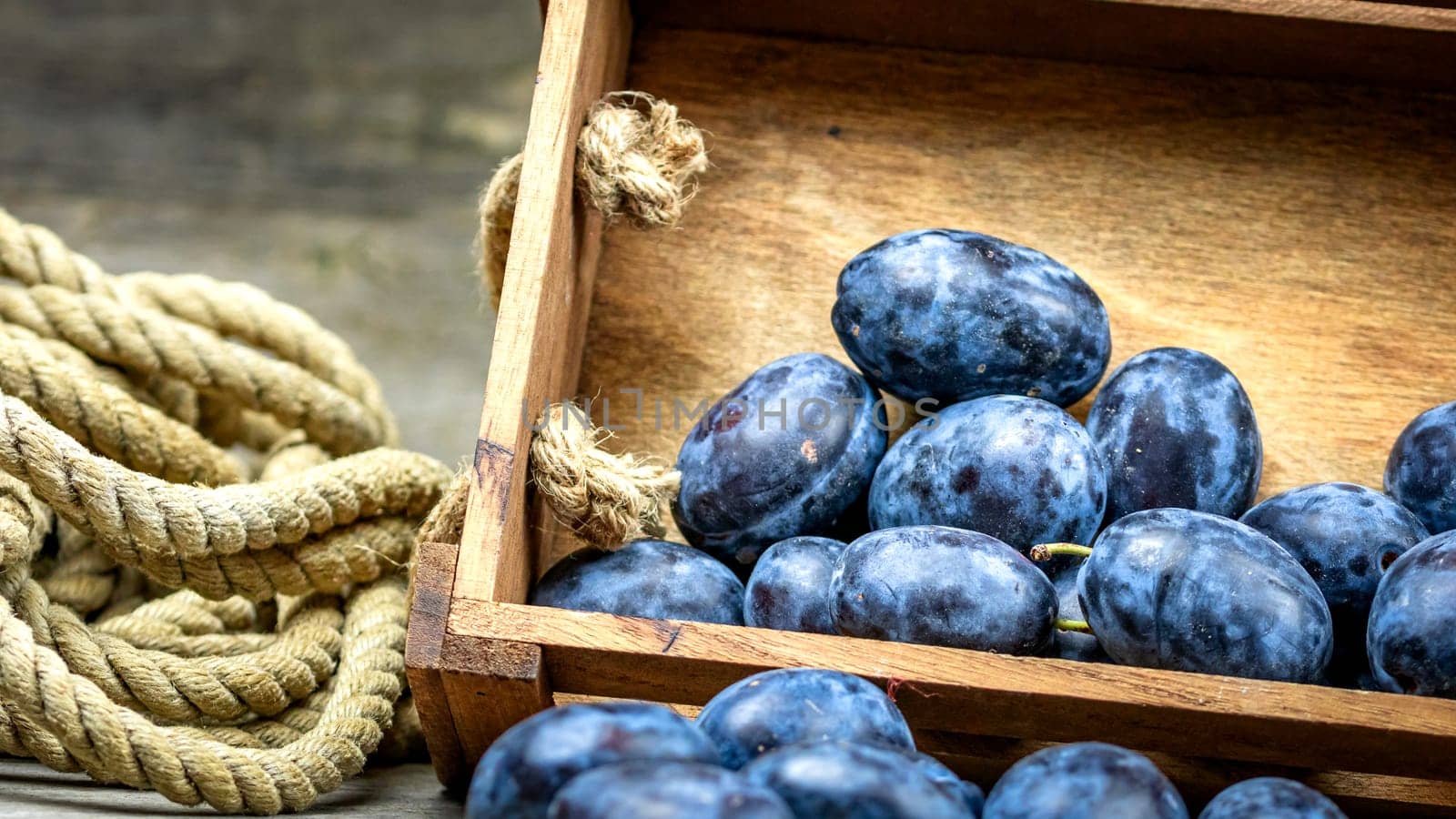 Ripe blue plums in a wooden crate in a rustic composition.